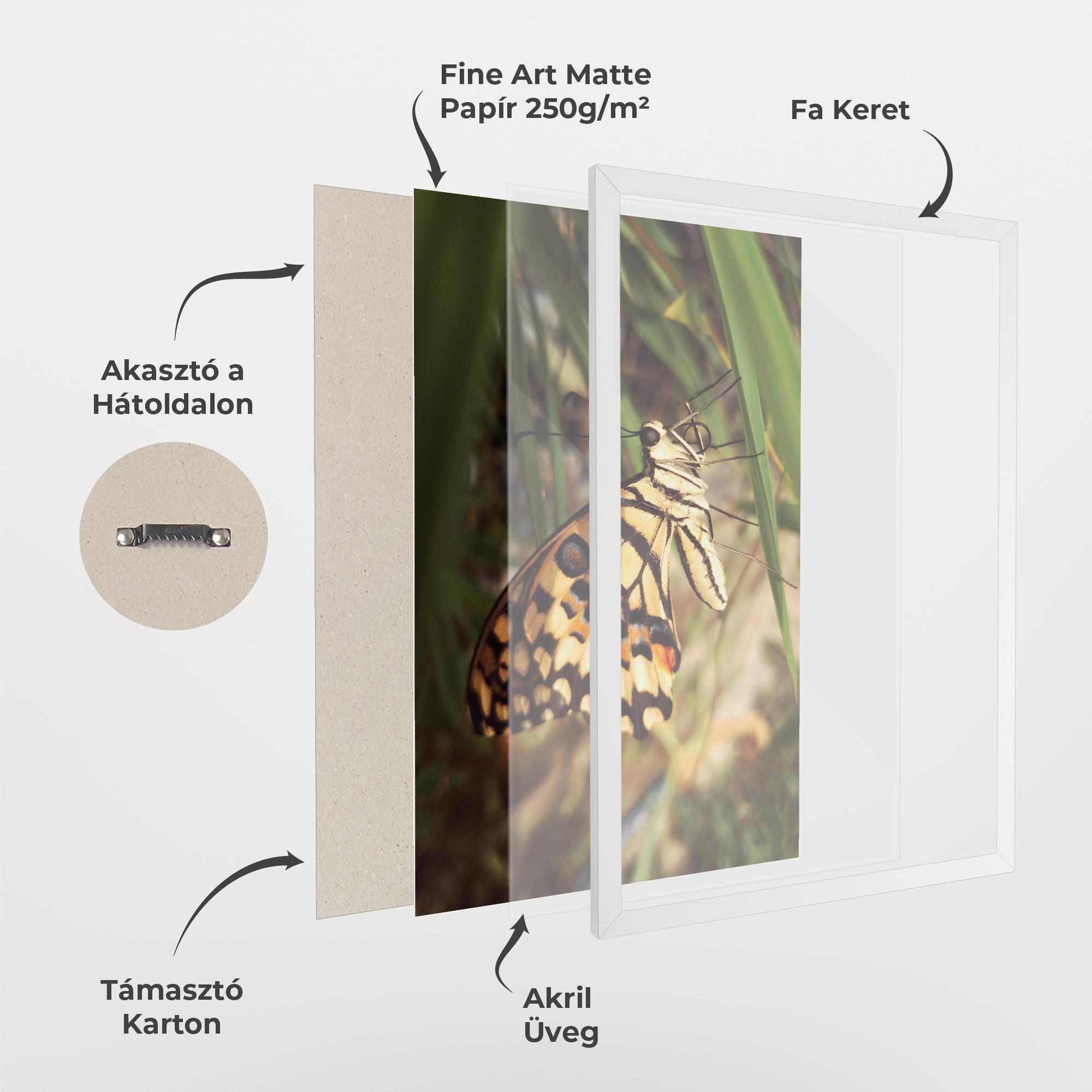 Keretezett Poszter Wild Brown Butterfly mockup 1