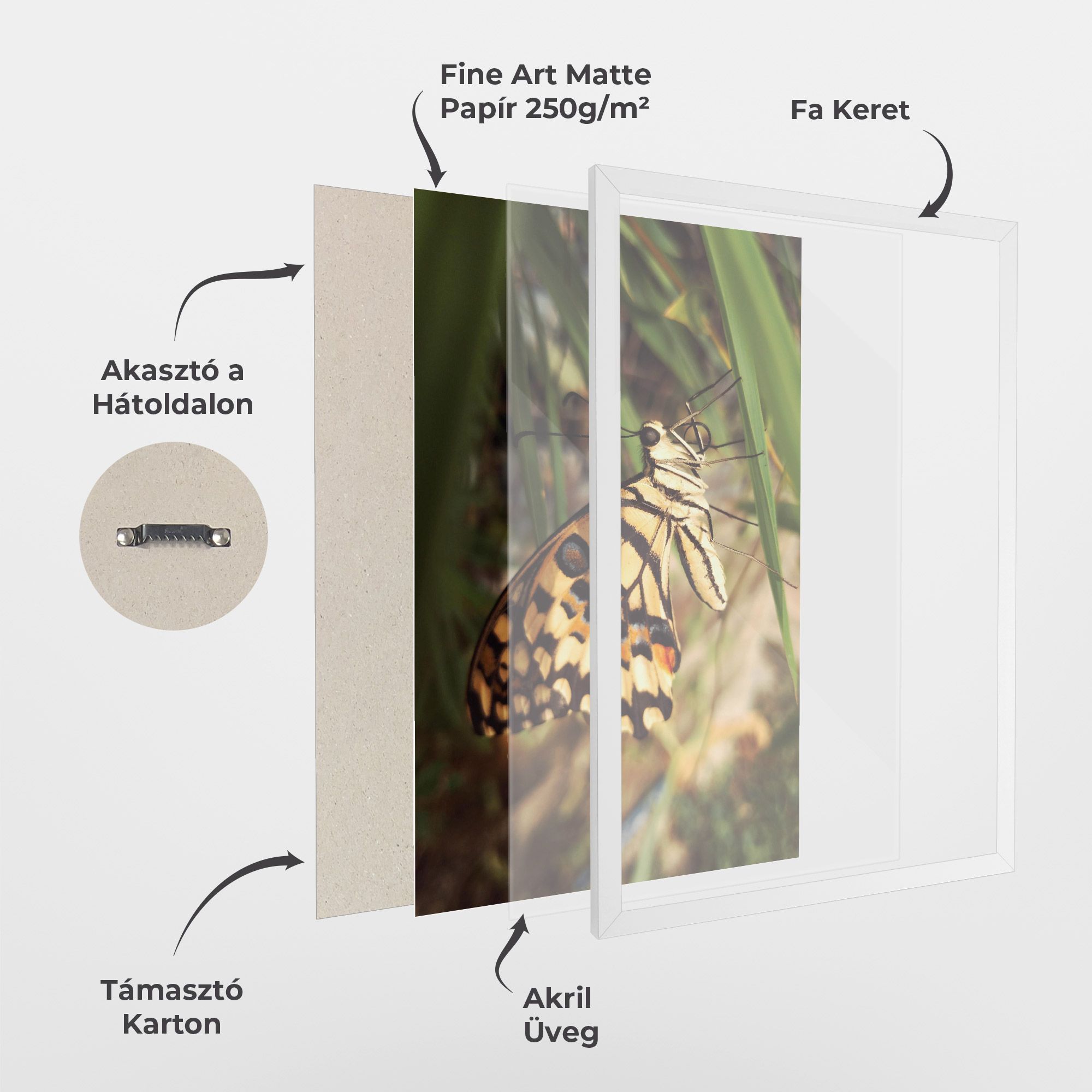 Wild Brown Butterfly mockup 1