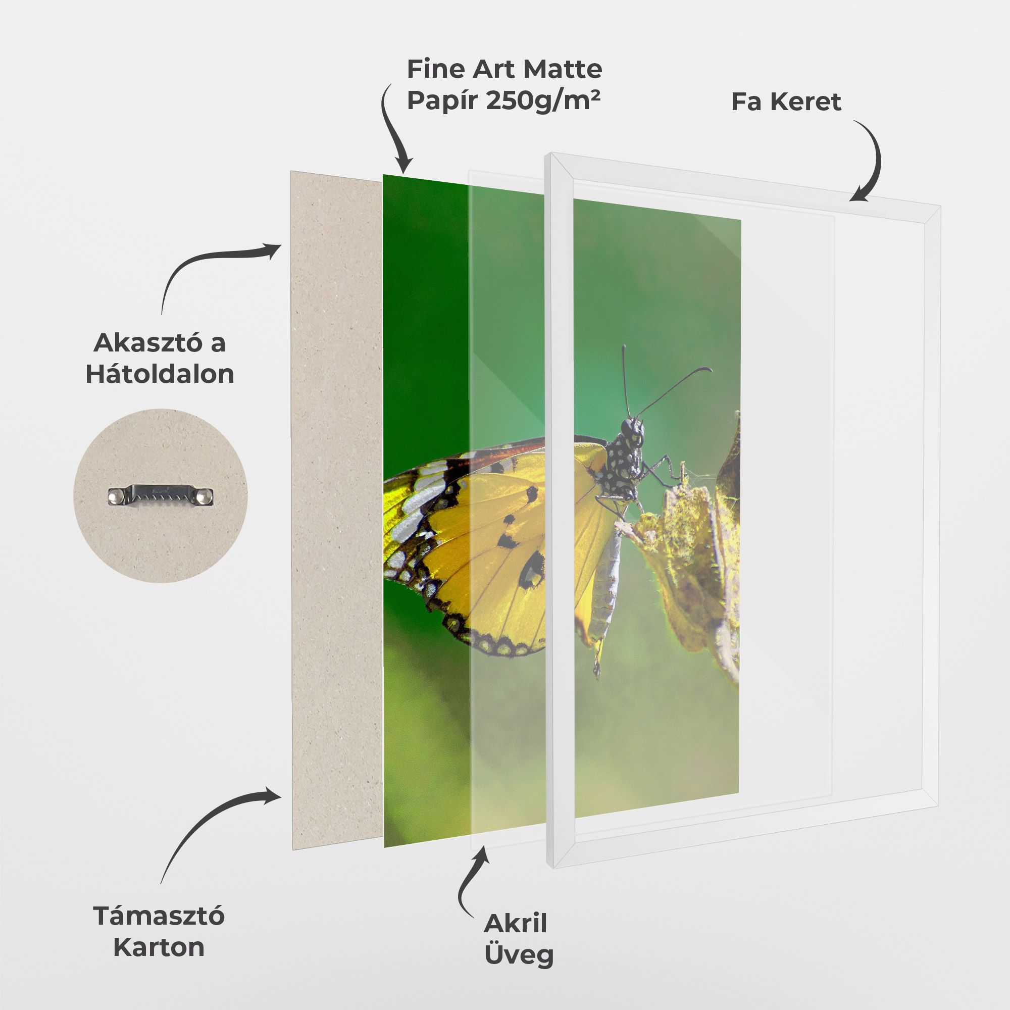 Yellow White Butterfly mockup 1