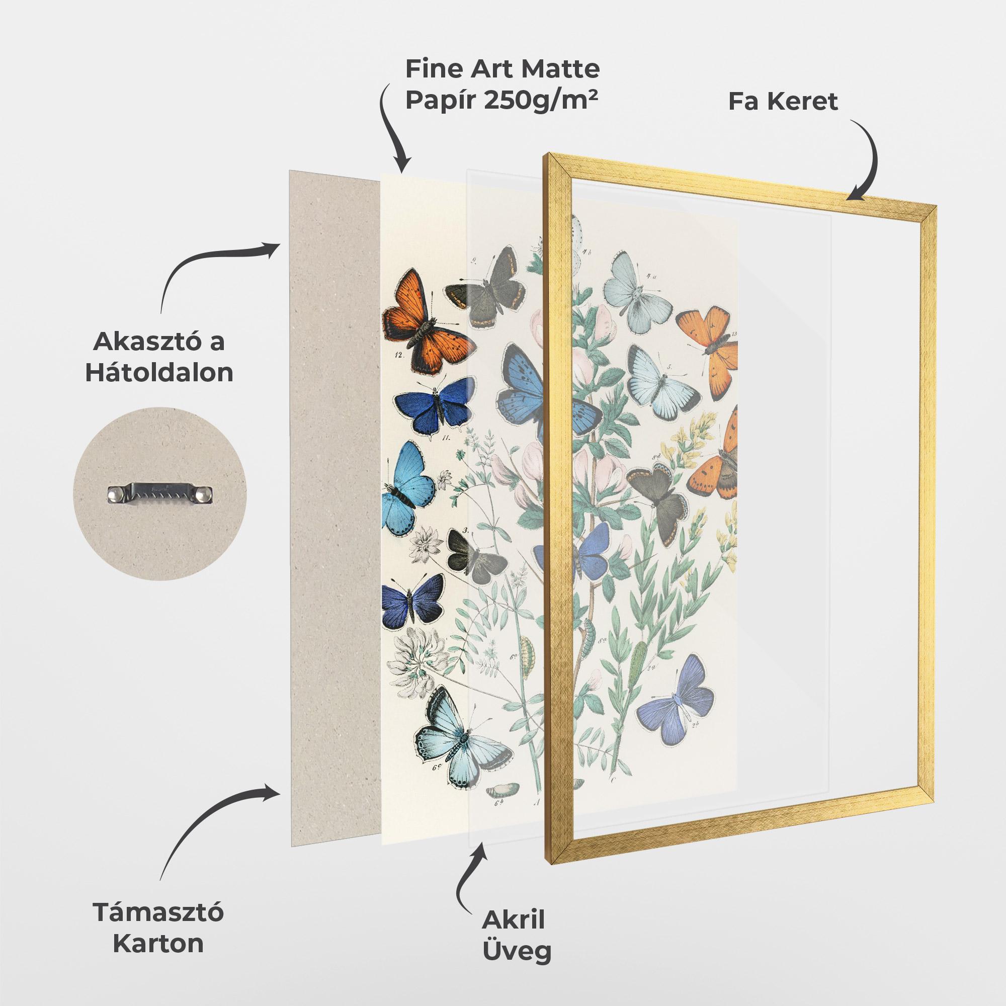 Keretezett Poszter Blue Orange Butterflies mockup 1