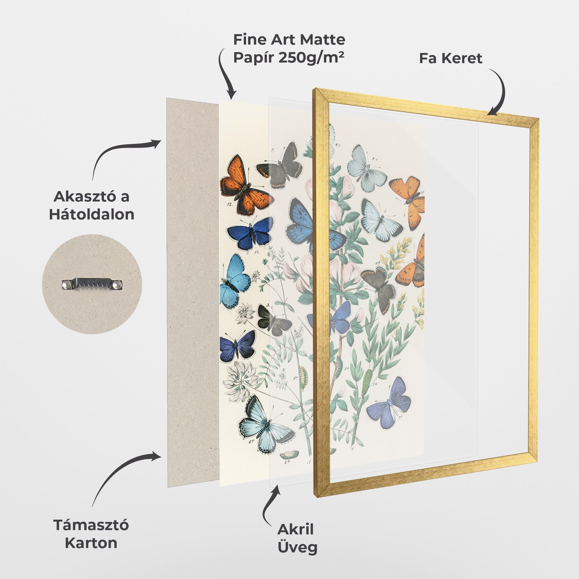 Blue Orange Butterflies mockup 1