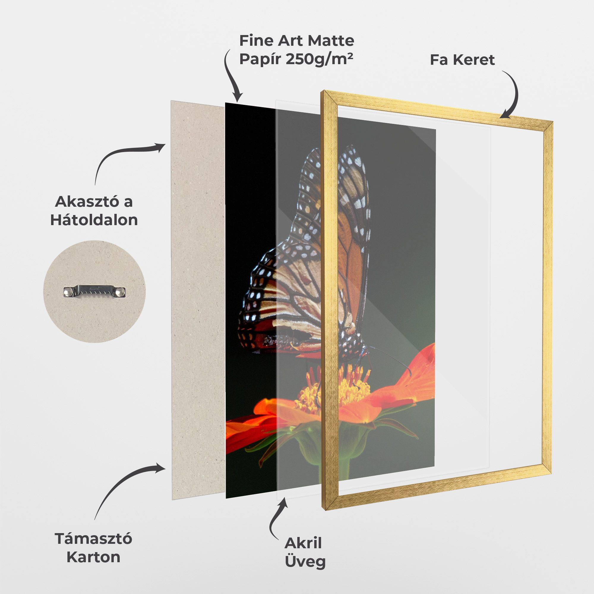 Dark Orange Butterfy mockup 1