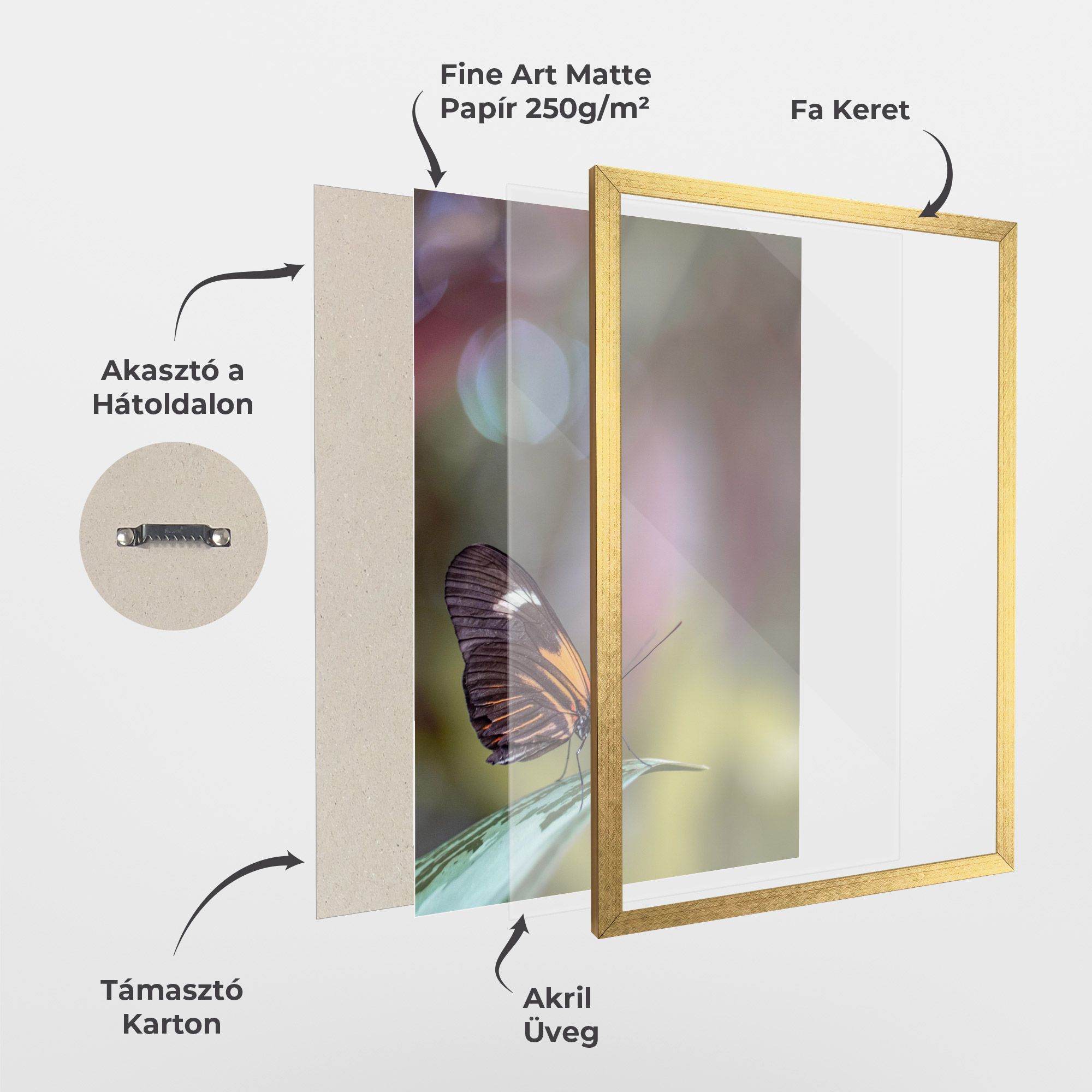 Dark Purple Butterfly mockup 1