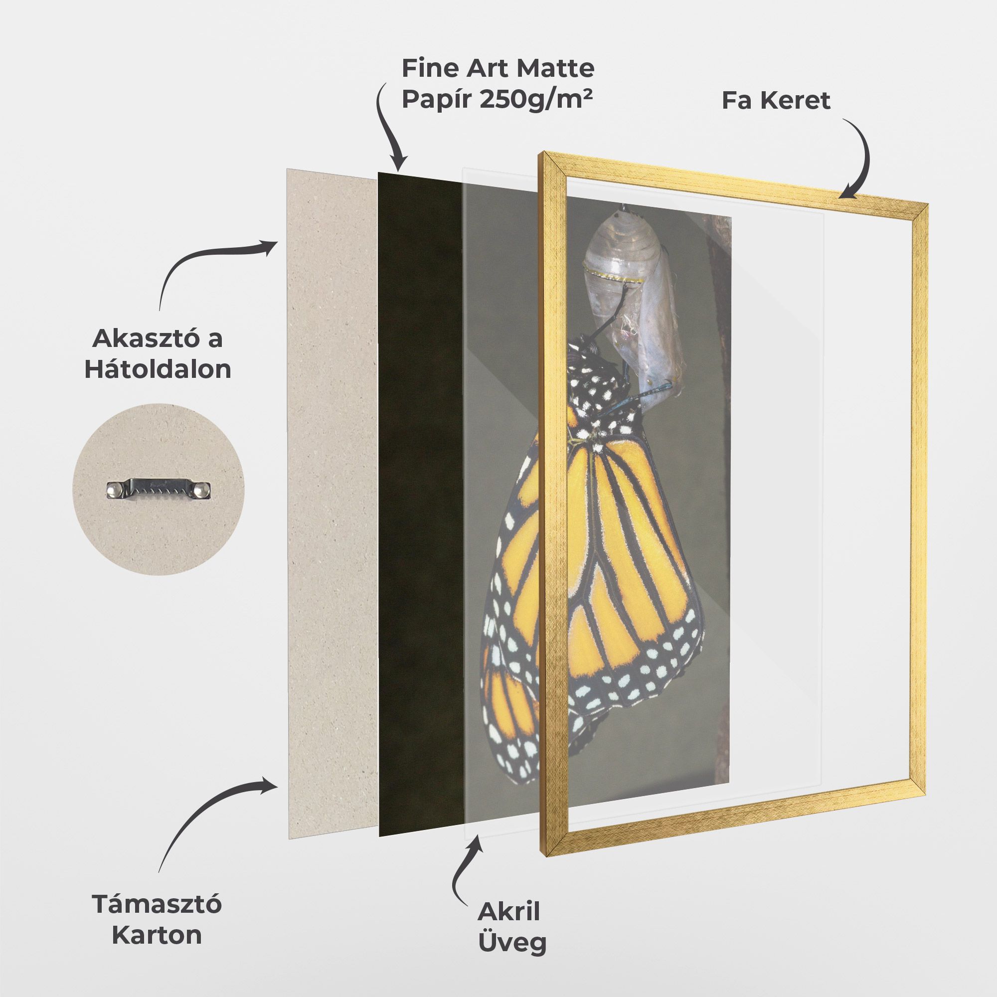 Dark Yellow Butterfly mockup 1