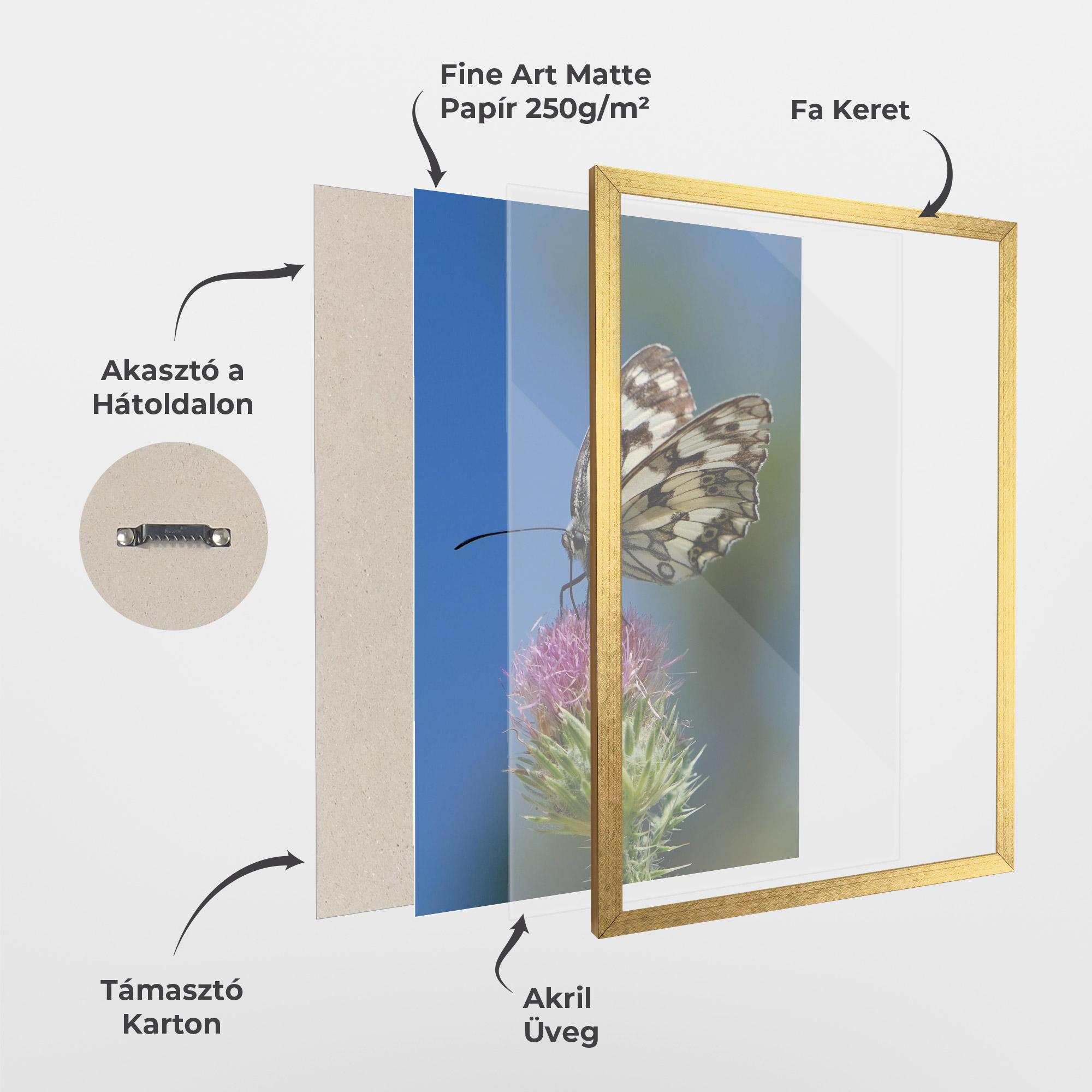 Keretezett Poszter Grey White Butterfly mockup 1