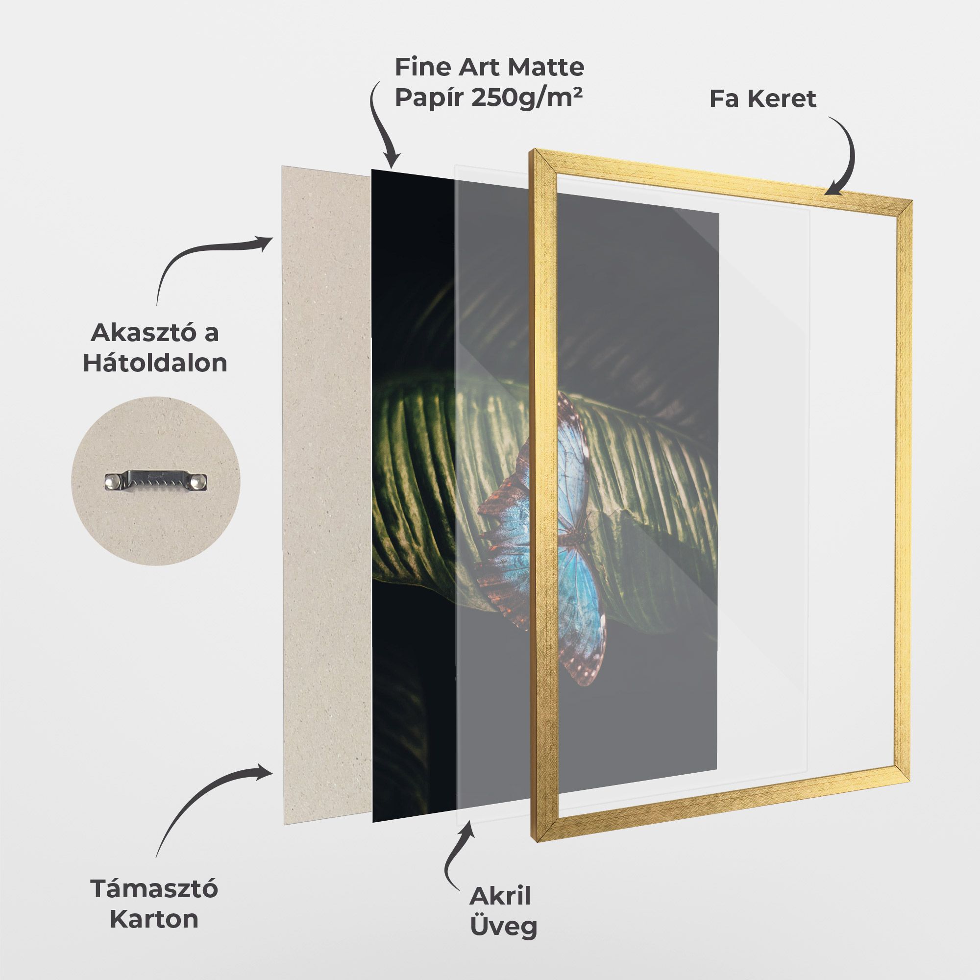 Light Blue Butterfly mockup 1