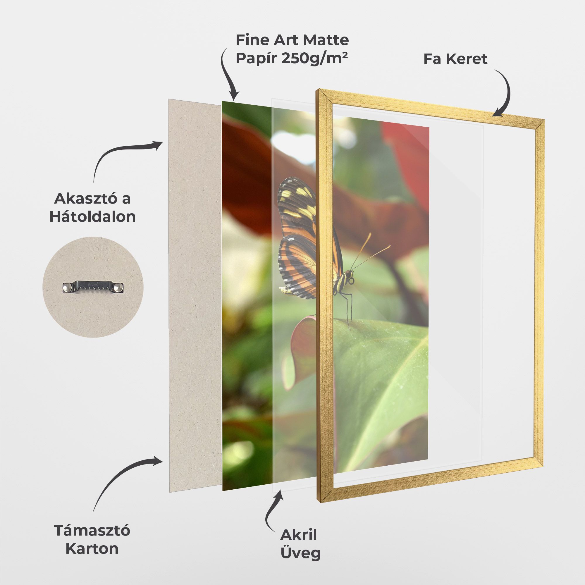 Orange Yellow Butterfly mockup 1