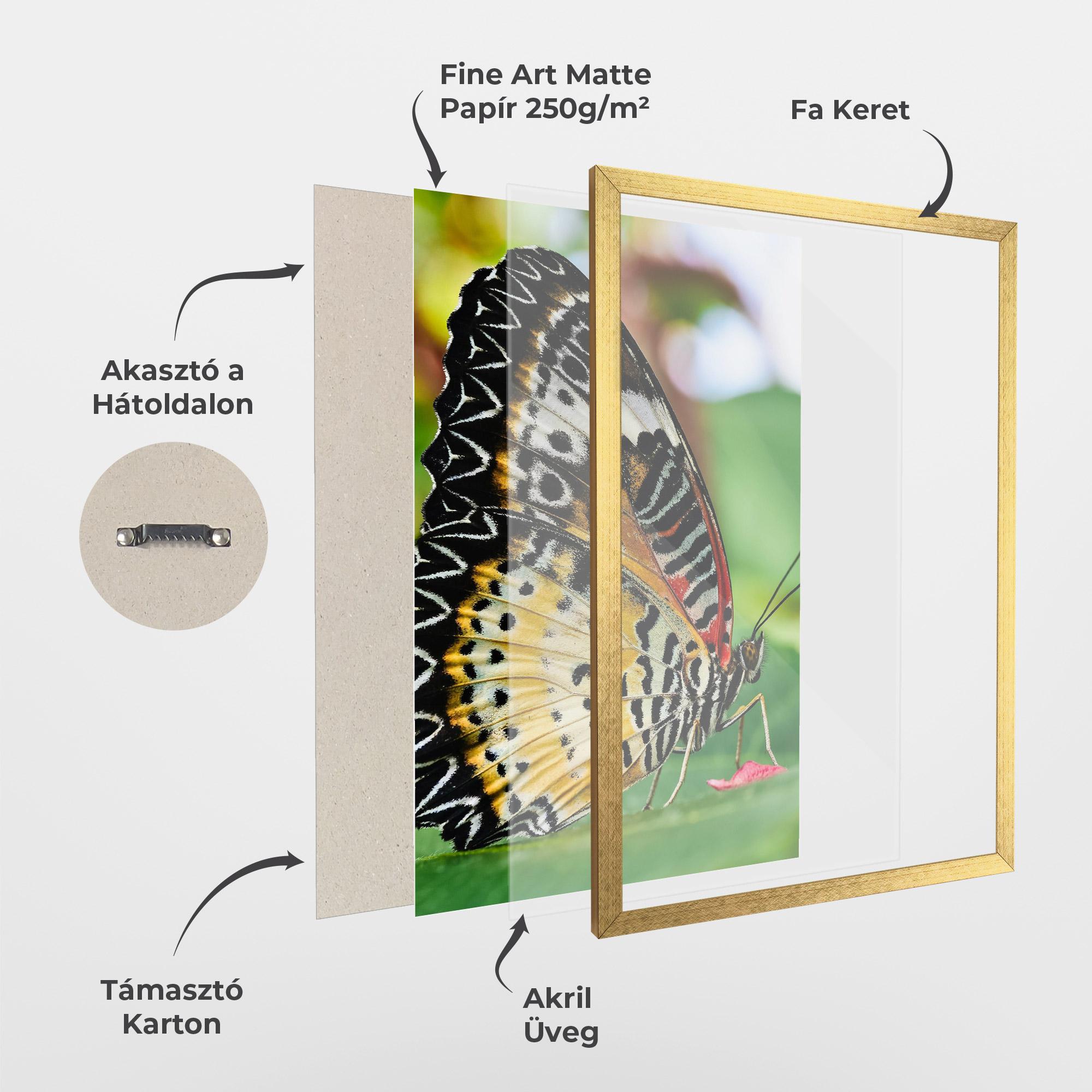 Keretezett Poszter Pretty Colorful Butterfly mockup 1