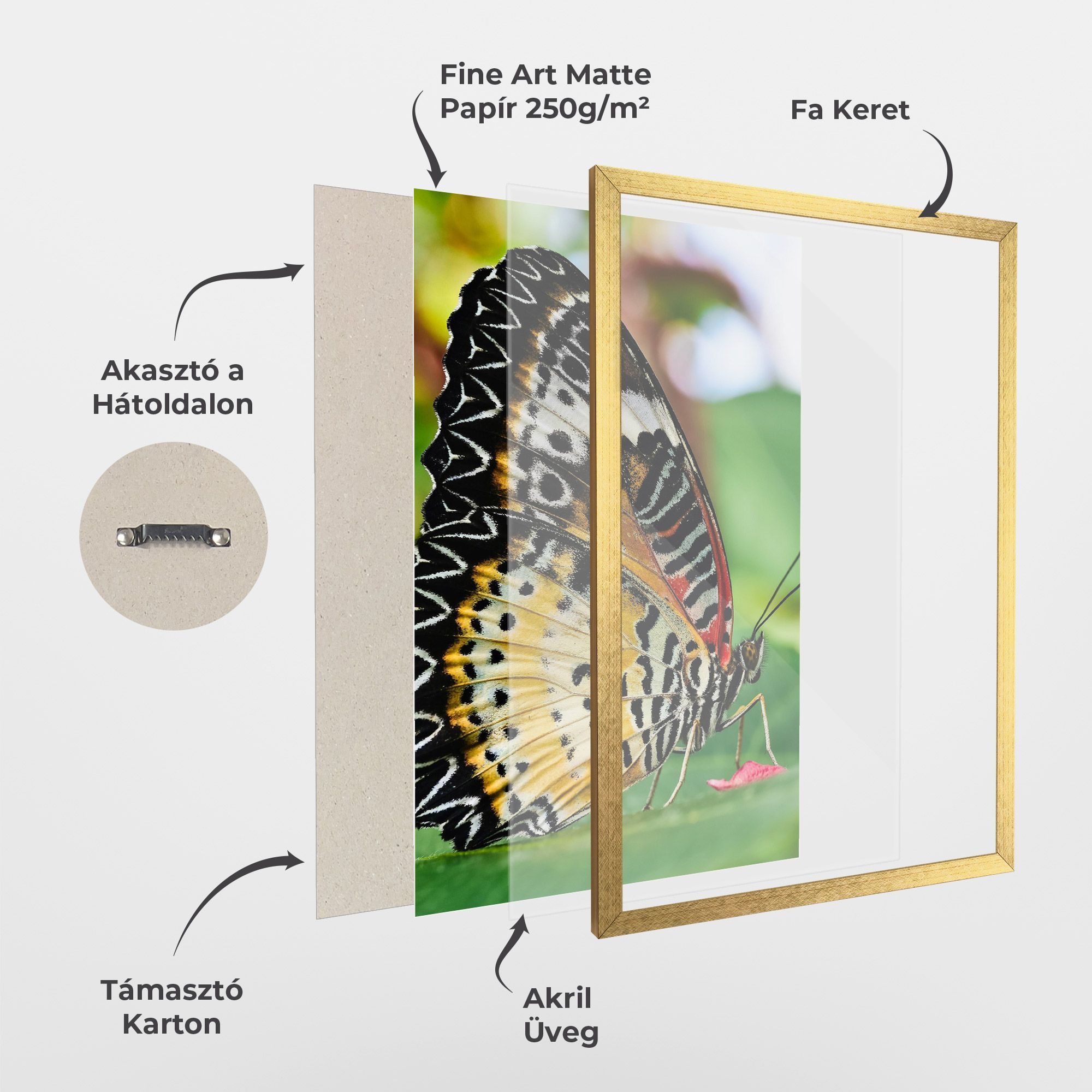 Pretty Colorful Butterfly mockup 1