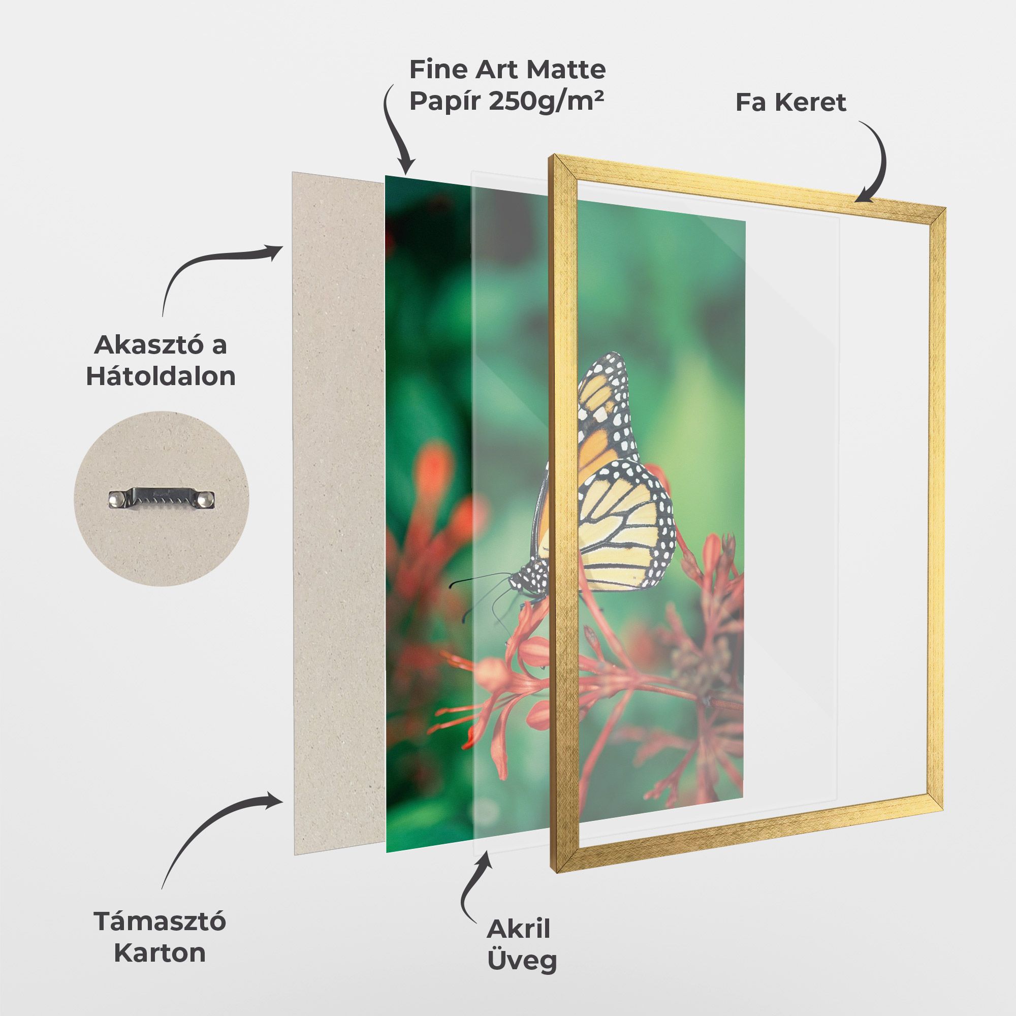 Small Orange Butterfly mockup 1