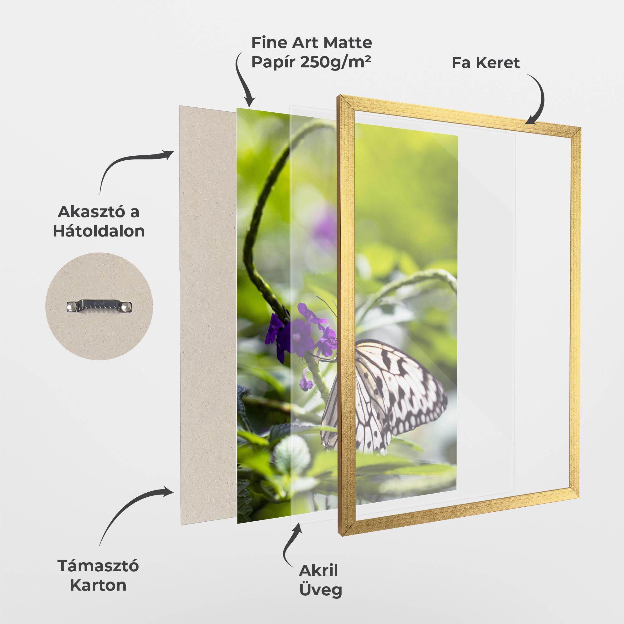 Keretezett Poszter White Black Butterfly mockup 1