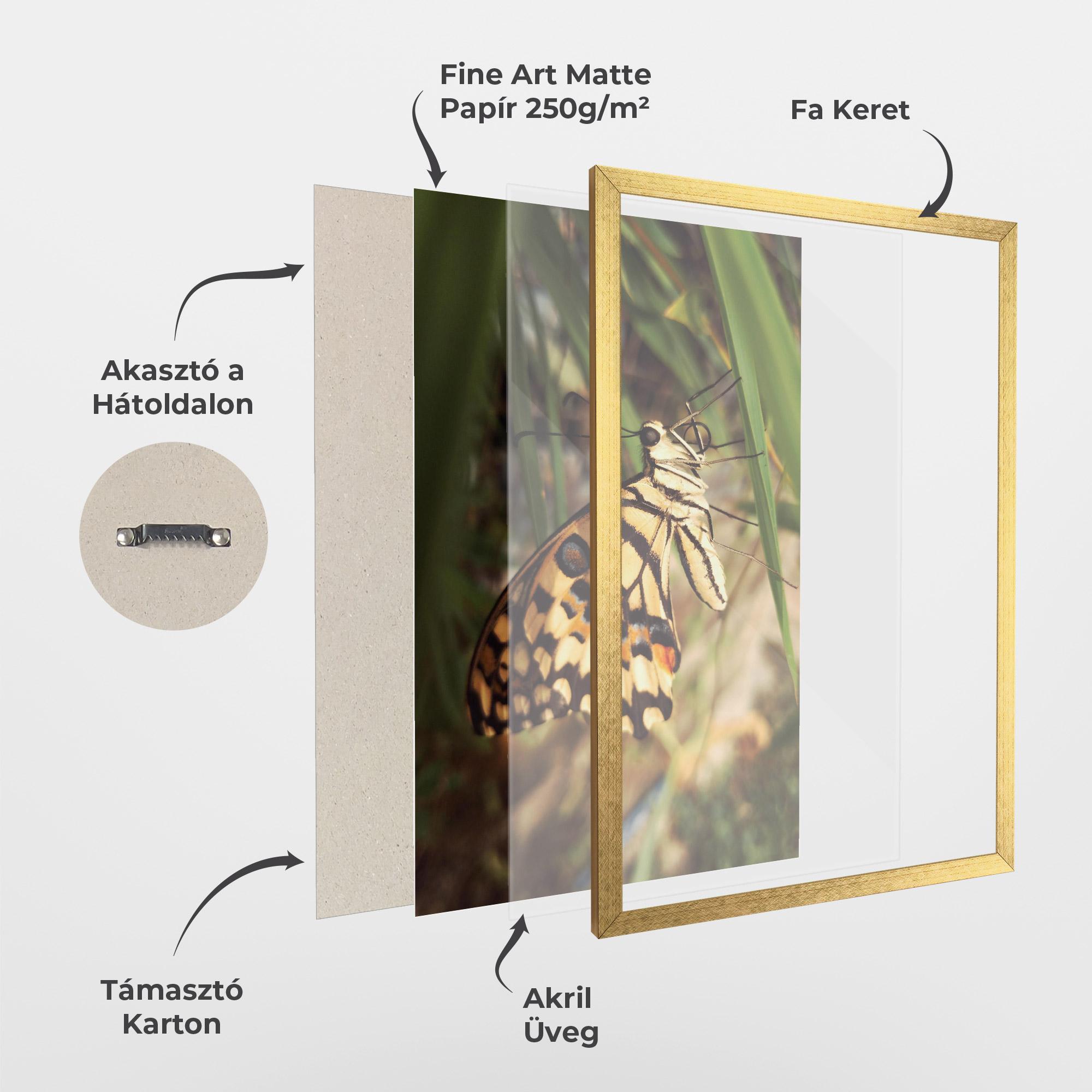 Keretezett Poszter Wild Brown Butterfly mockup 1