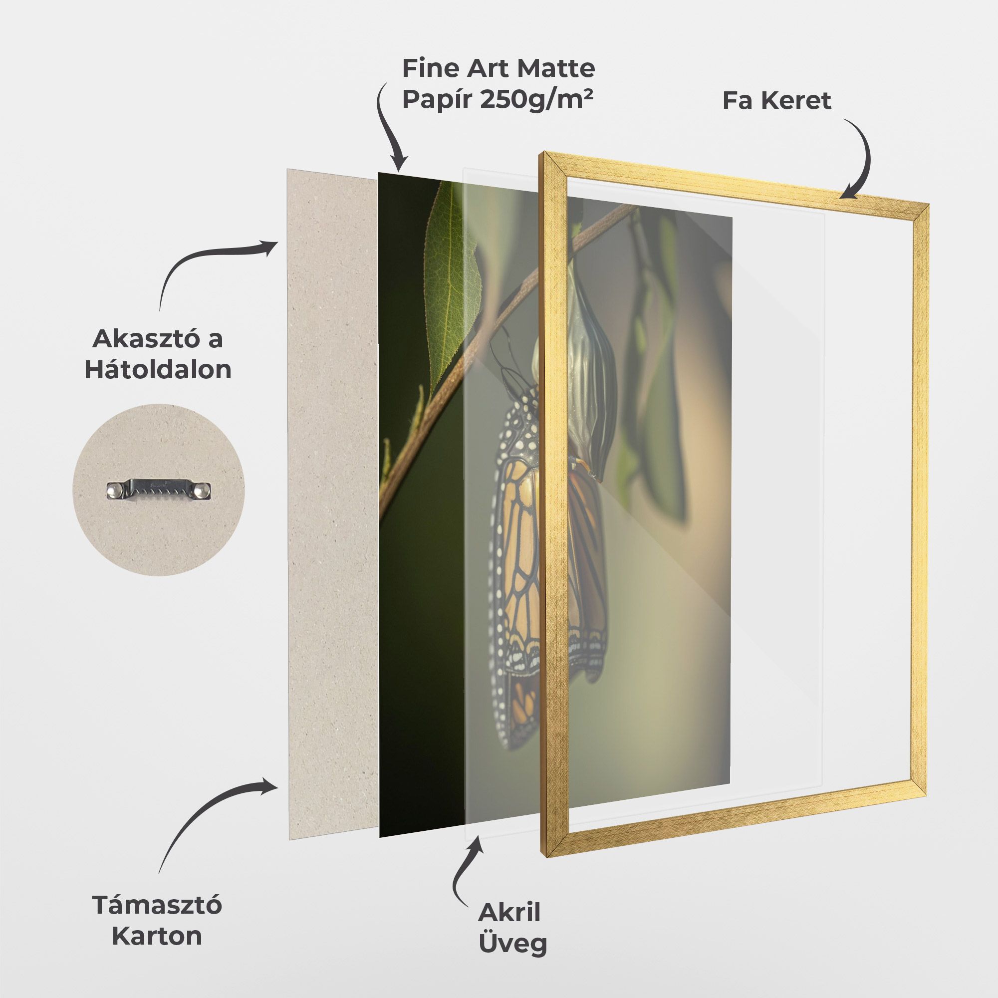 Yellow Black Butterfly mockup 1