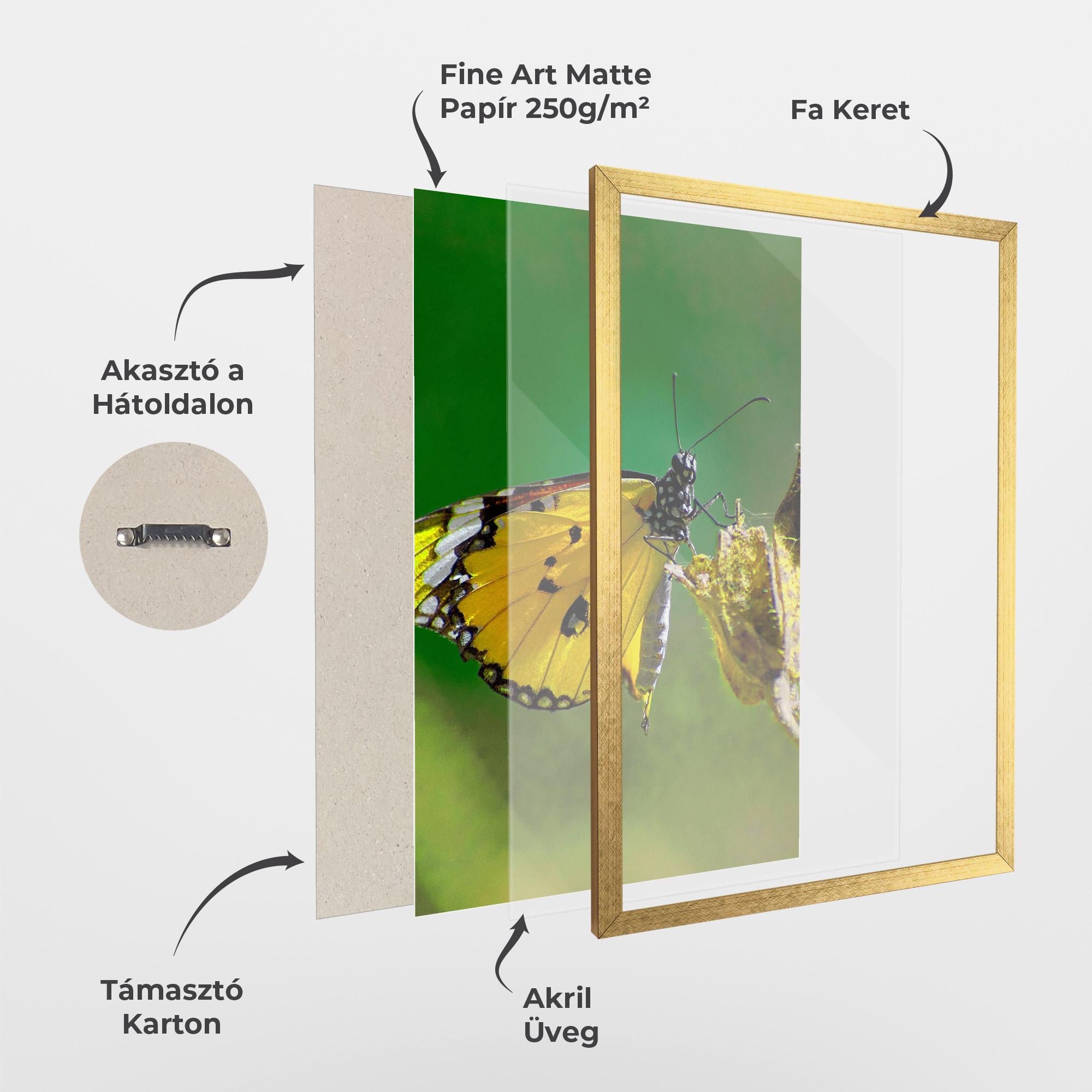 Keretezett Poszter Yellow White Butterfly mockup 1