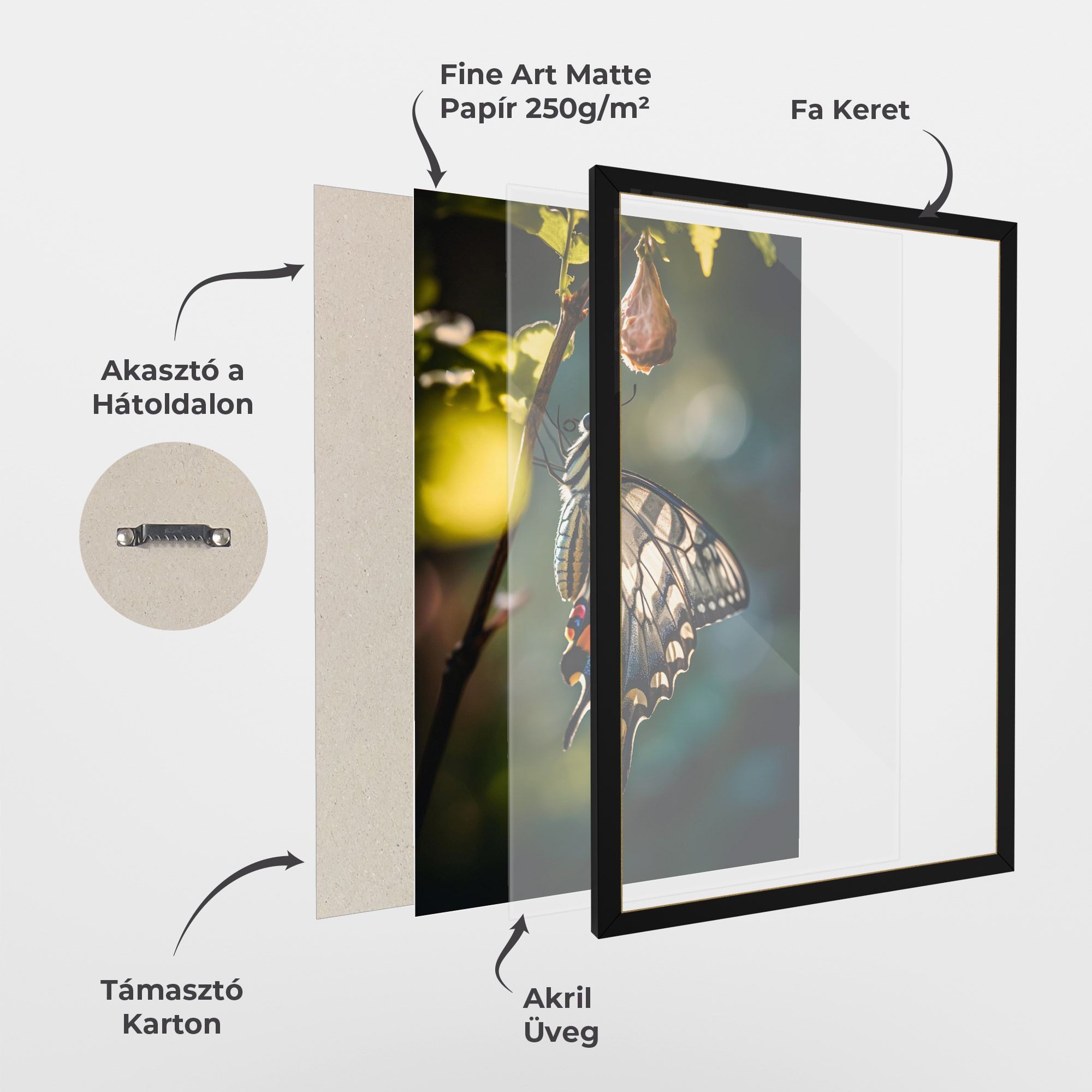 Blue Cream Butterfly mockup 1