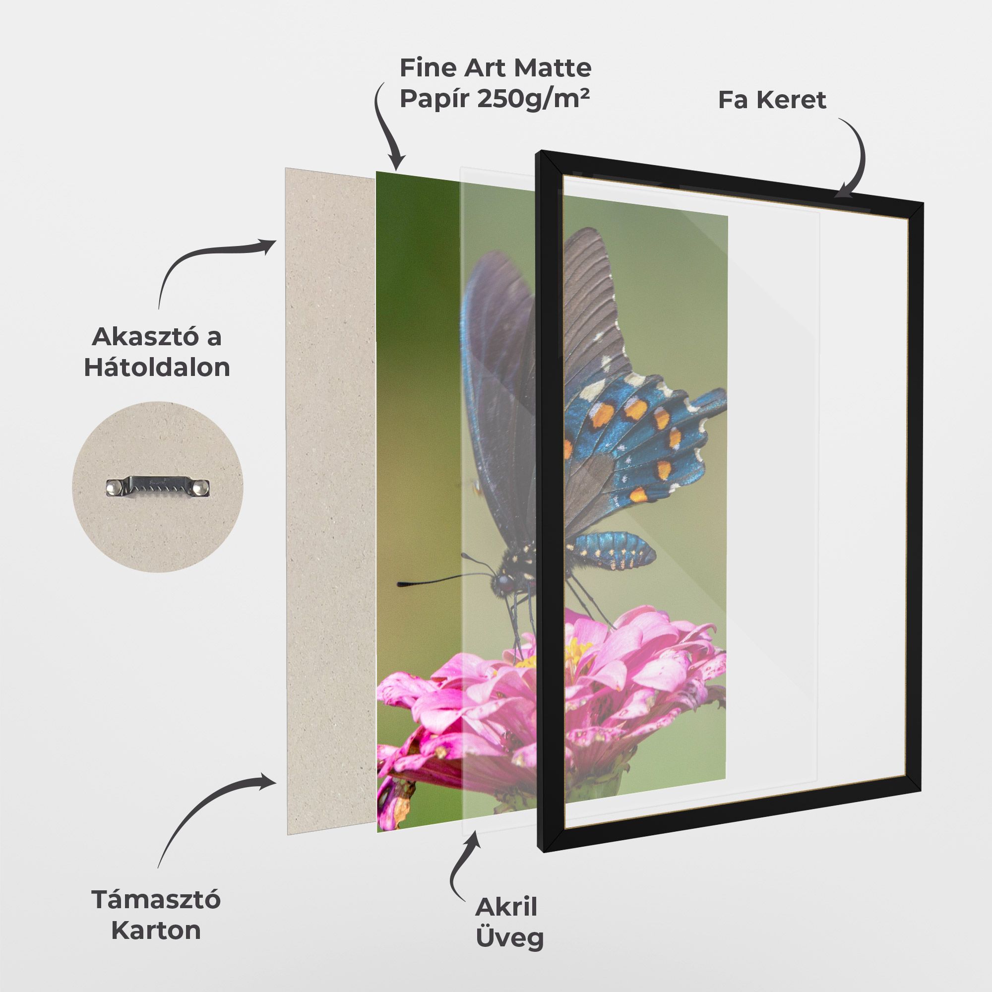 Blue Grey Butterfly mockup 1