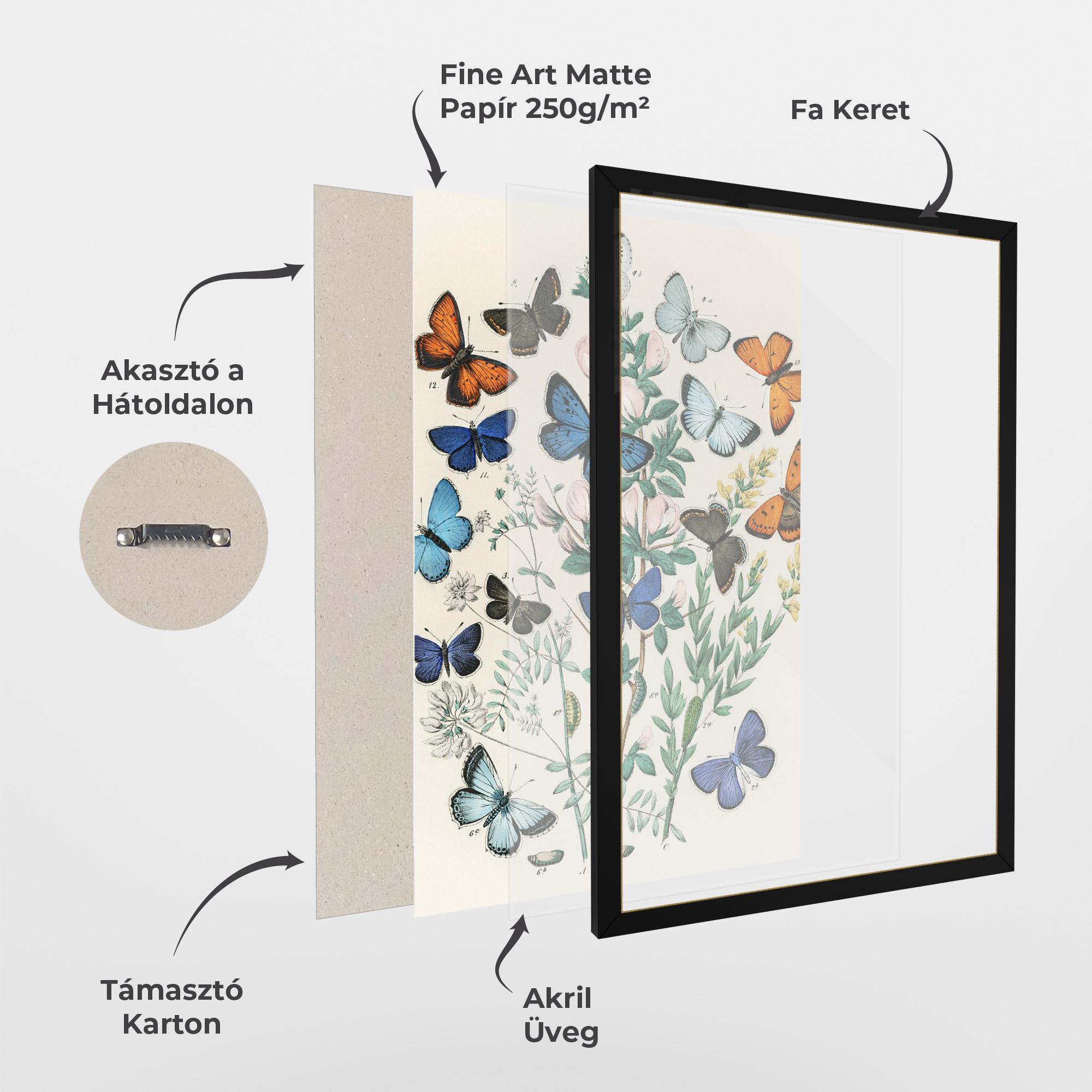 Keretezett Poszter Blue Orange Butterflies mockup 1