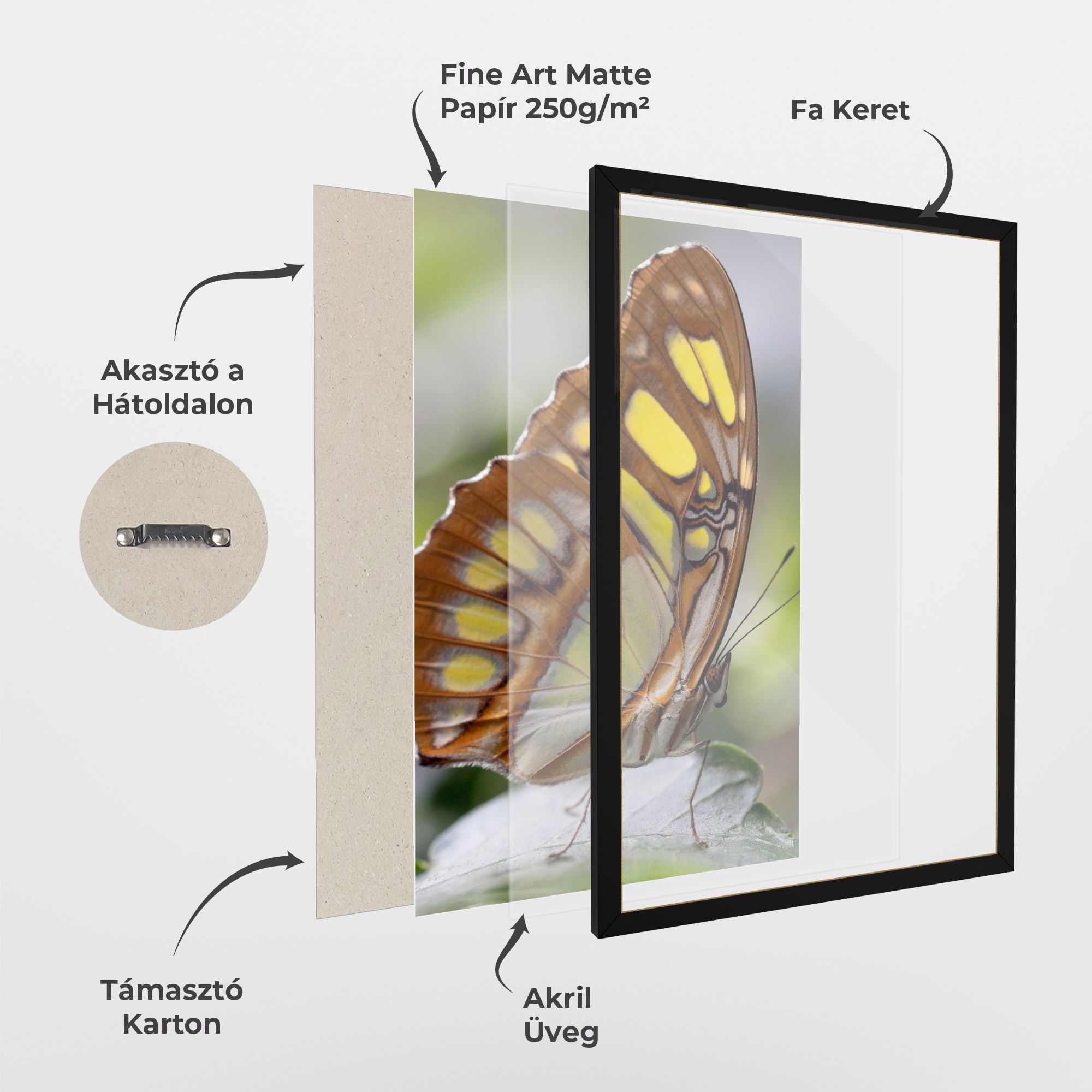 Brown Yellow Butterfly mockup 1