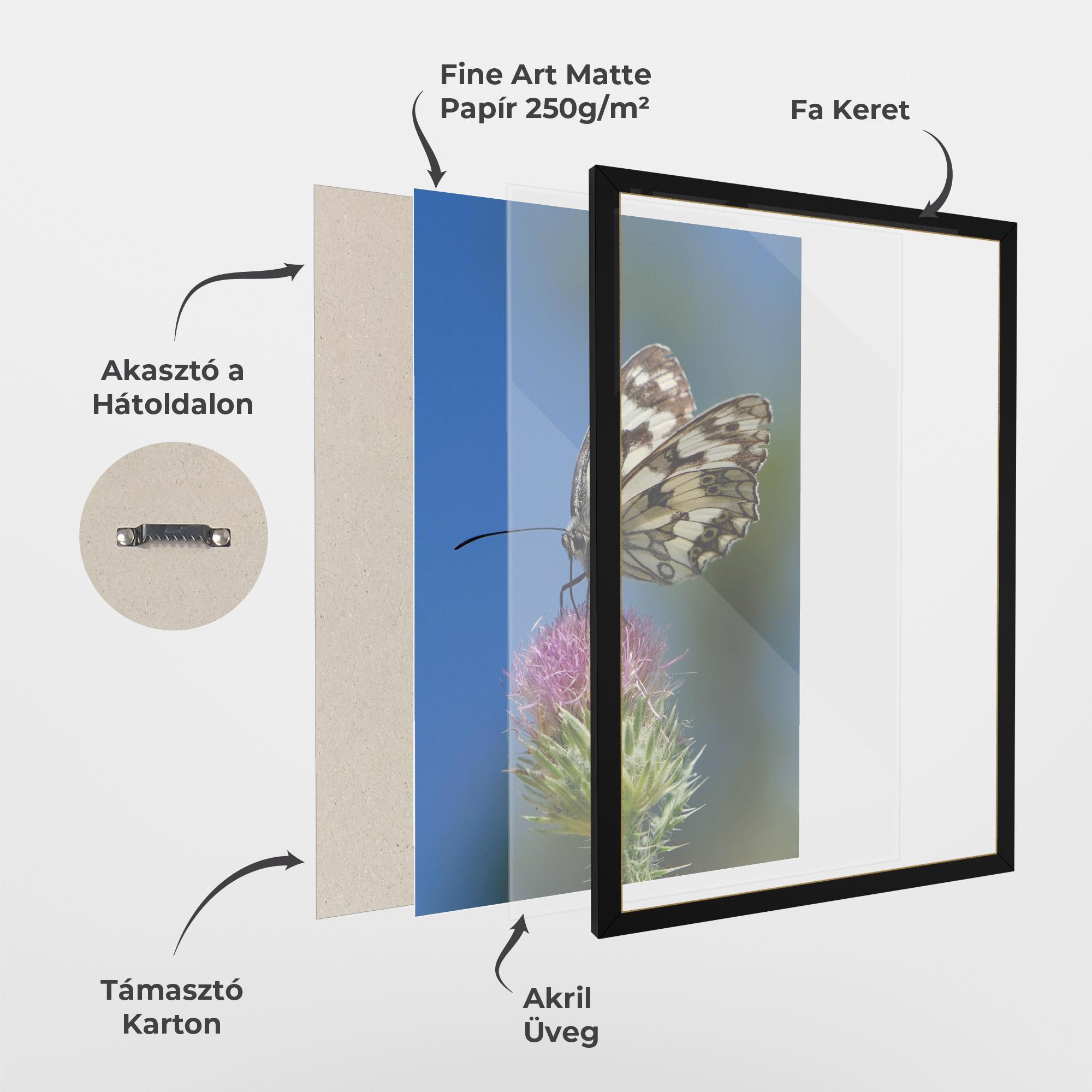 Keretezett Poszter Grey White Butterfly mockup 1