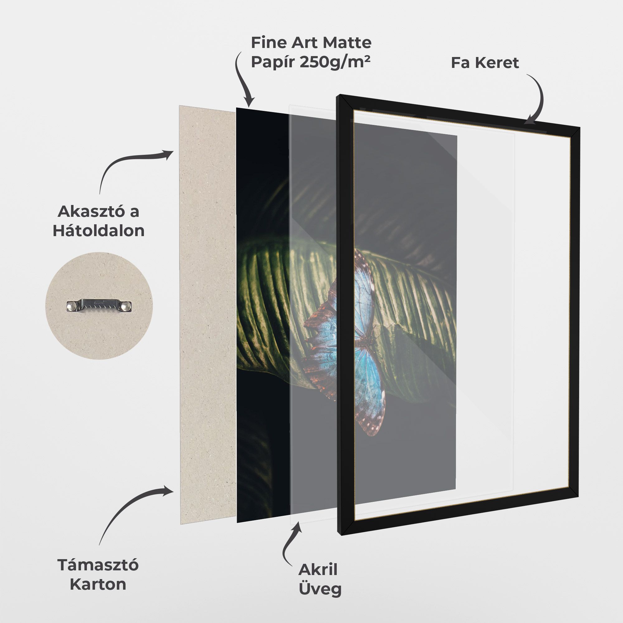 Light Blue Butterfly mockup 1