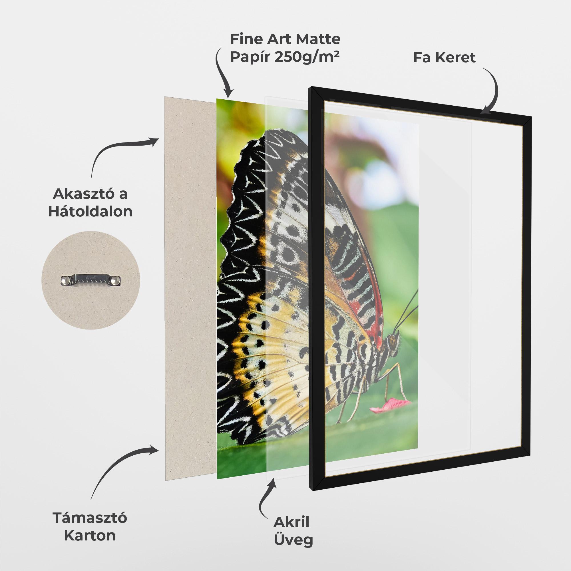 Keretezett Poszter Pretty Colorful Butterfly mockup 1