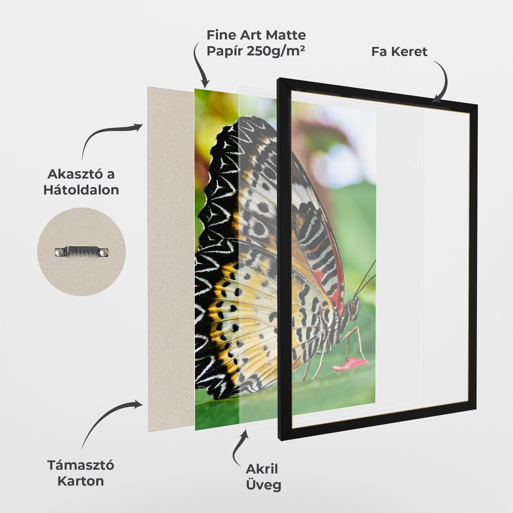 Pretty Colorful Butterfly mockup 1