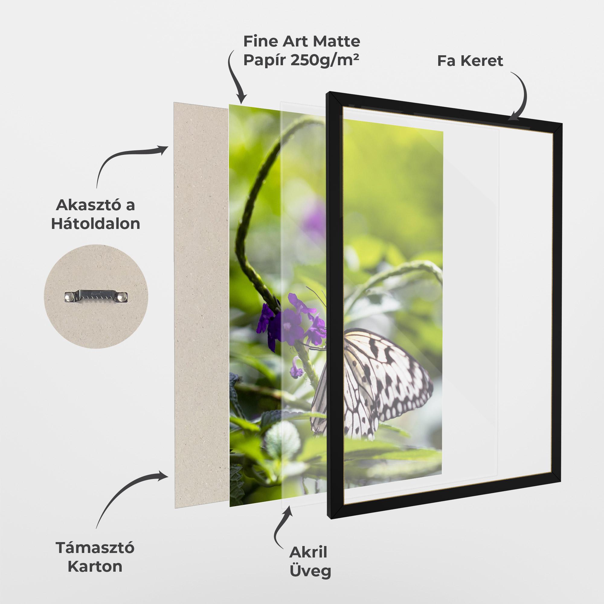 Keretezett Poszter White Black Butterfly mockup 1