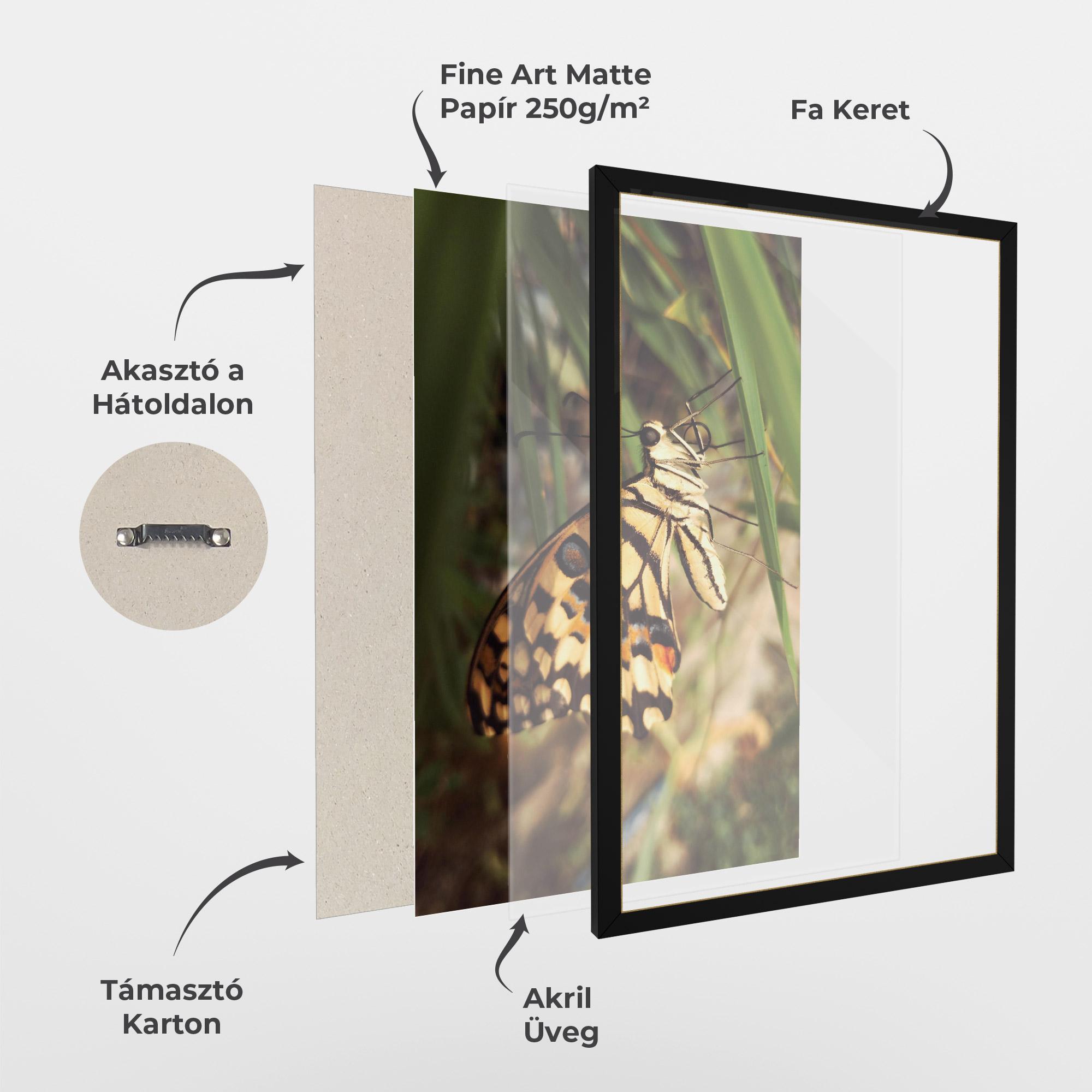 Keretezett Poszter Wild Brown Butterfly mockup 1