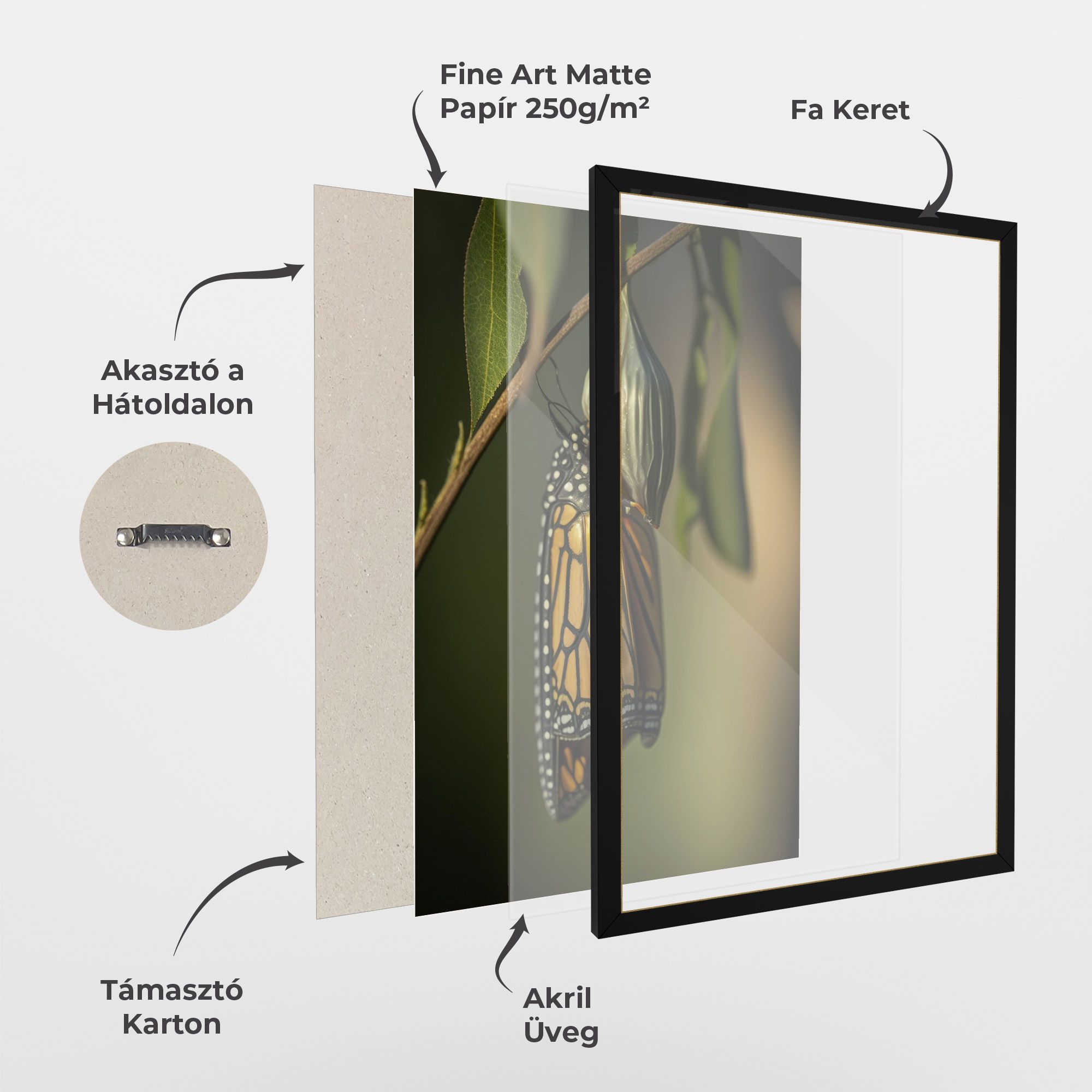 Yellow Black Butterfly mockup 1