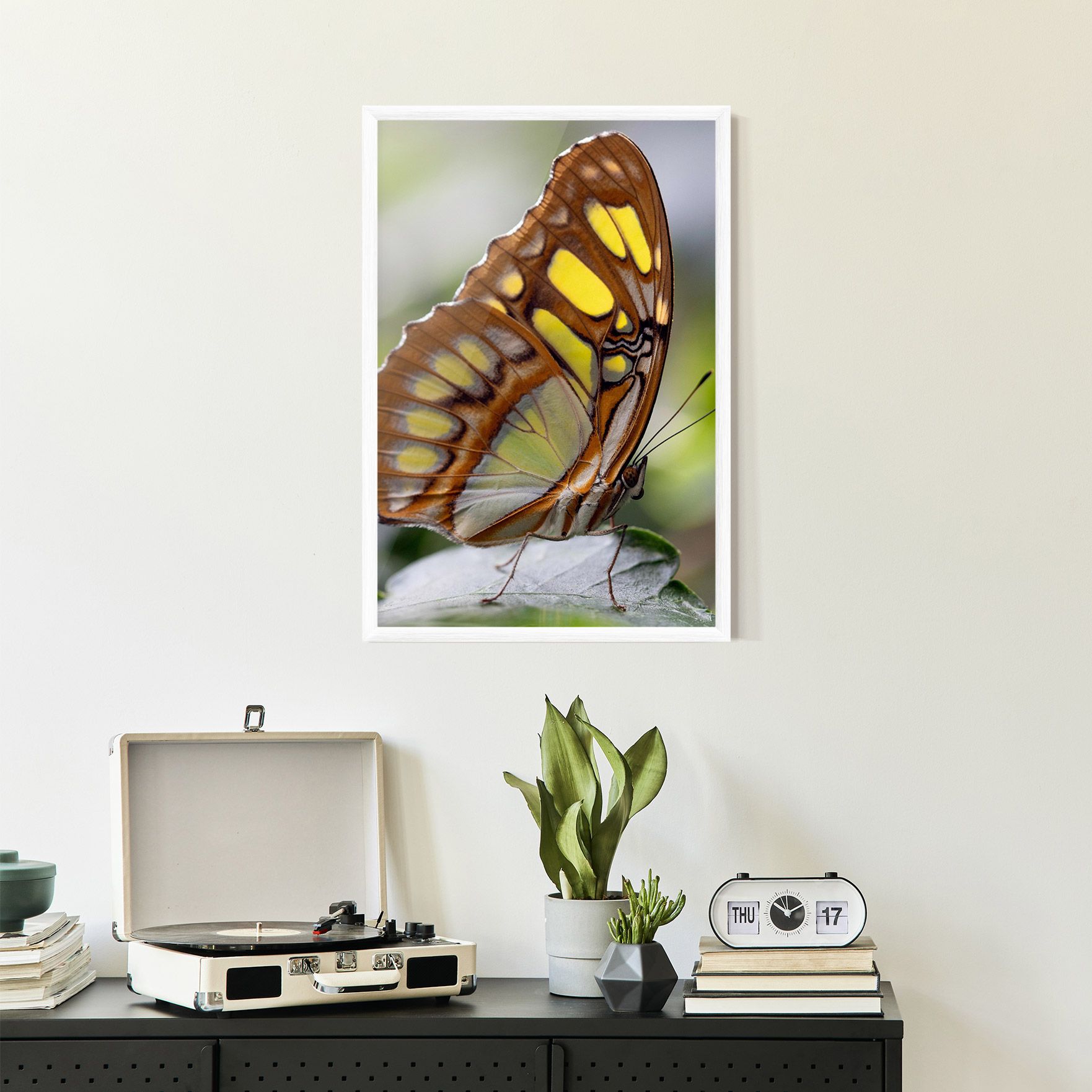 Brown Yellow Butterfly mockup 2