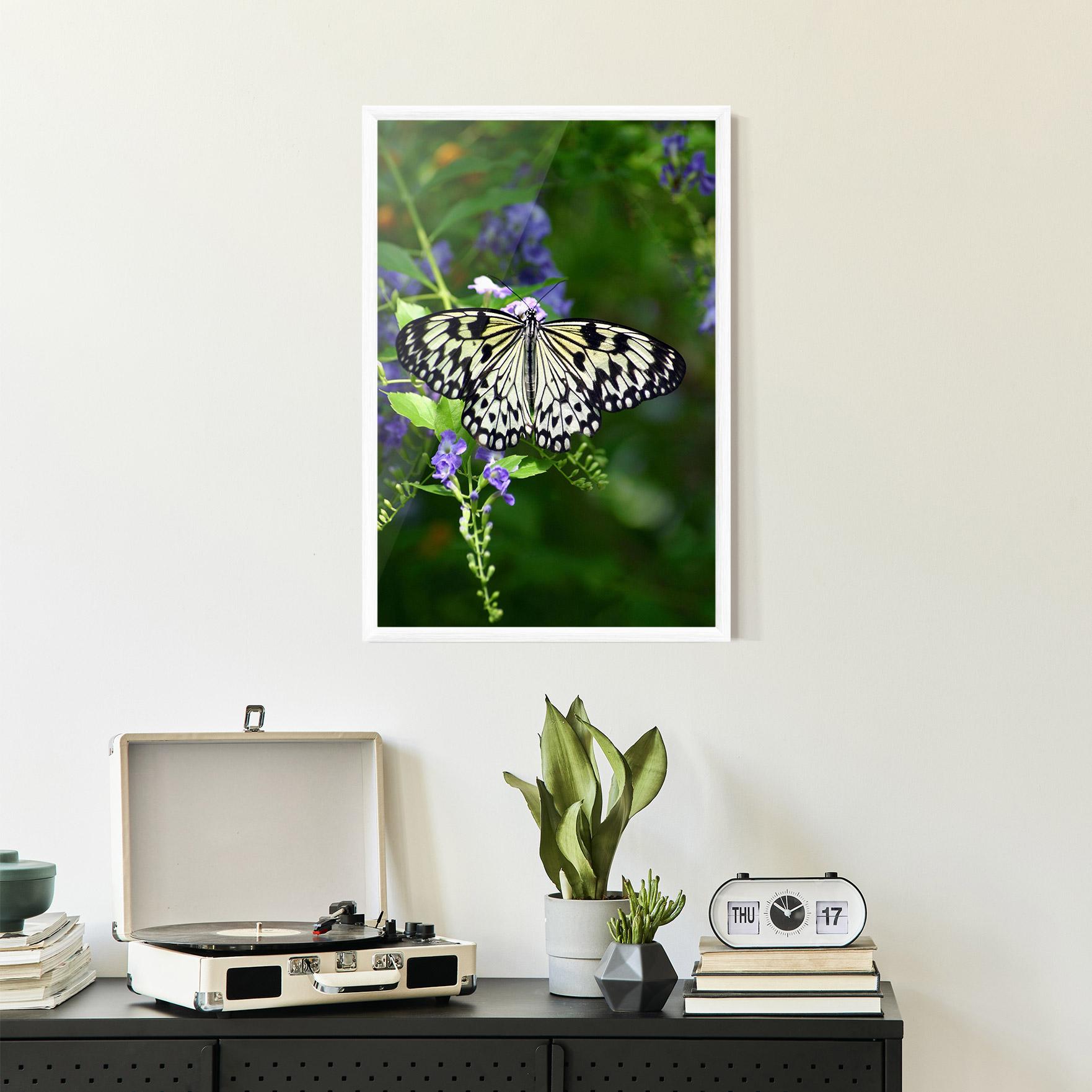 Keretezett Poszter Pretty White Butterfly mockup 2