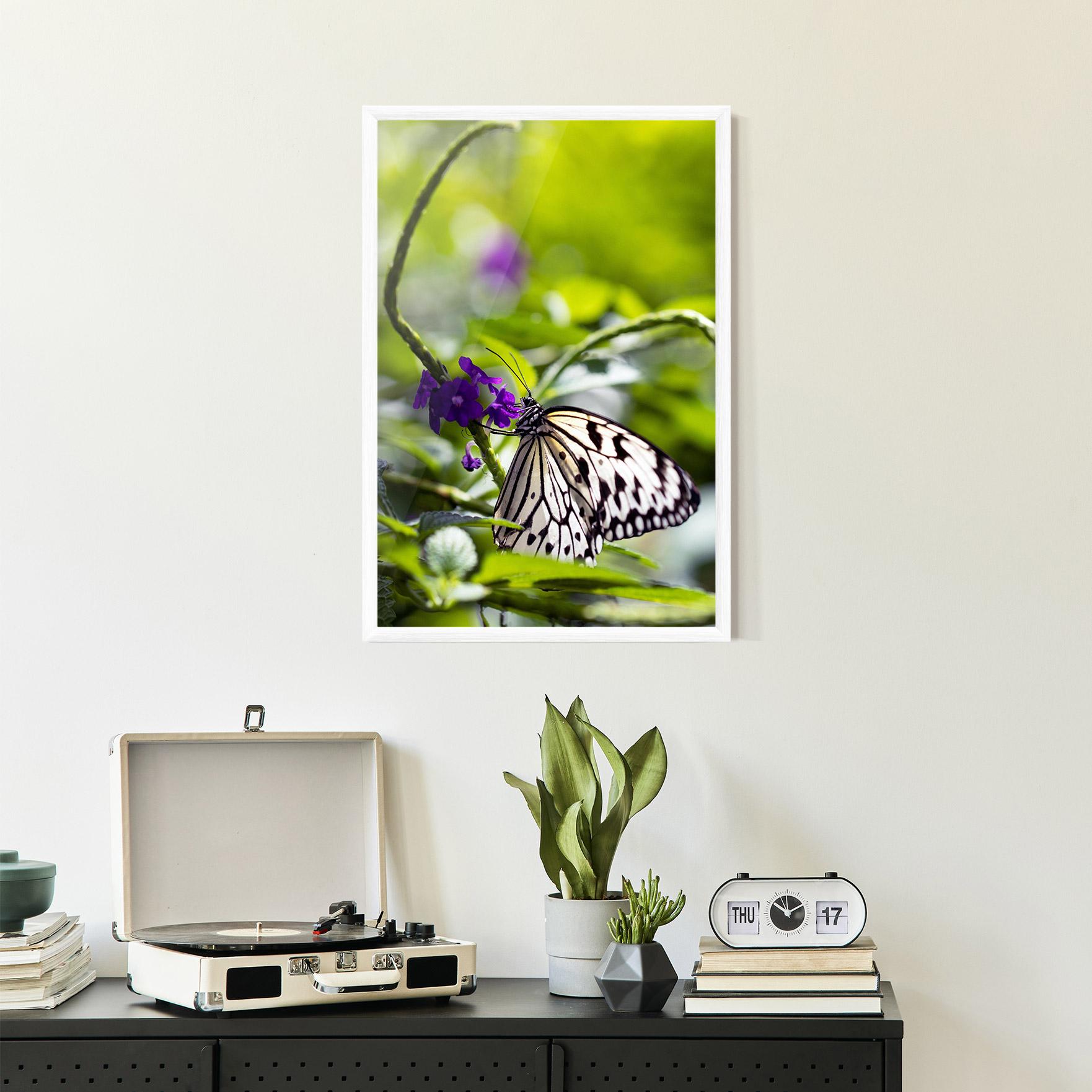 Keretezett Poszter White Black Butterfly mockup 2