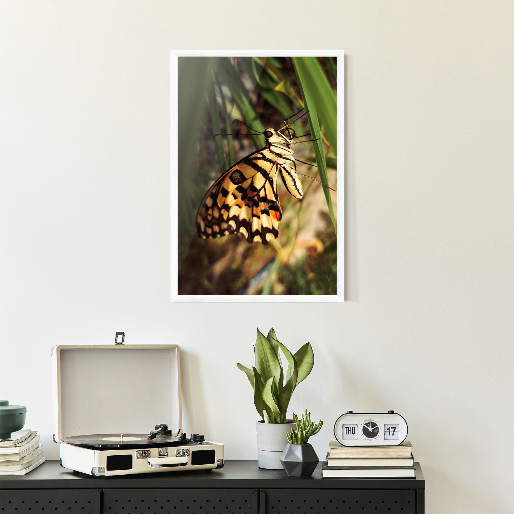 Wild Brown Butterfly mockup 2