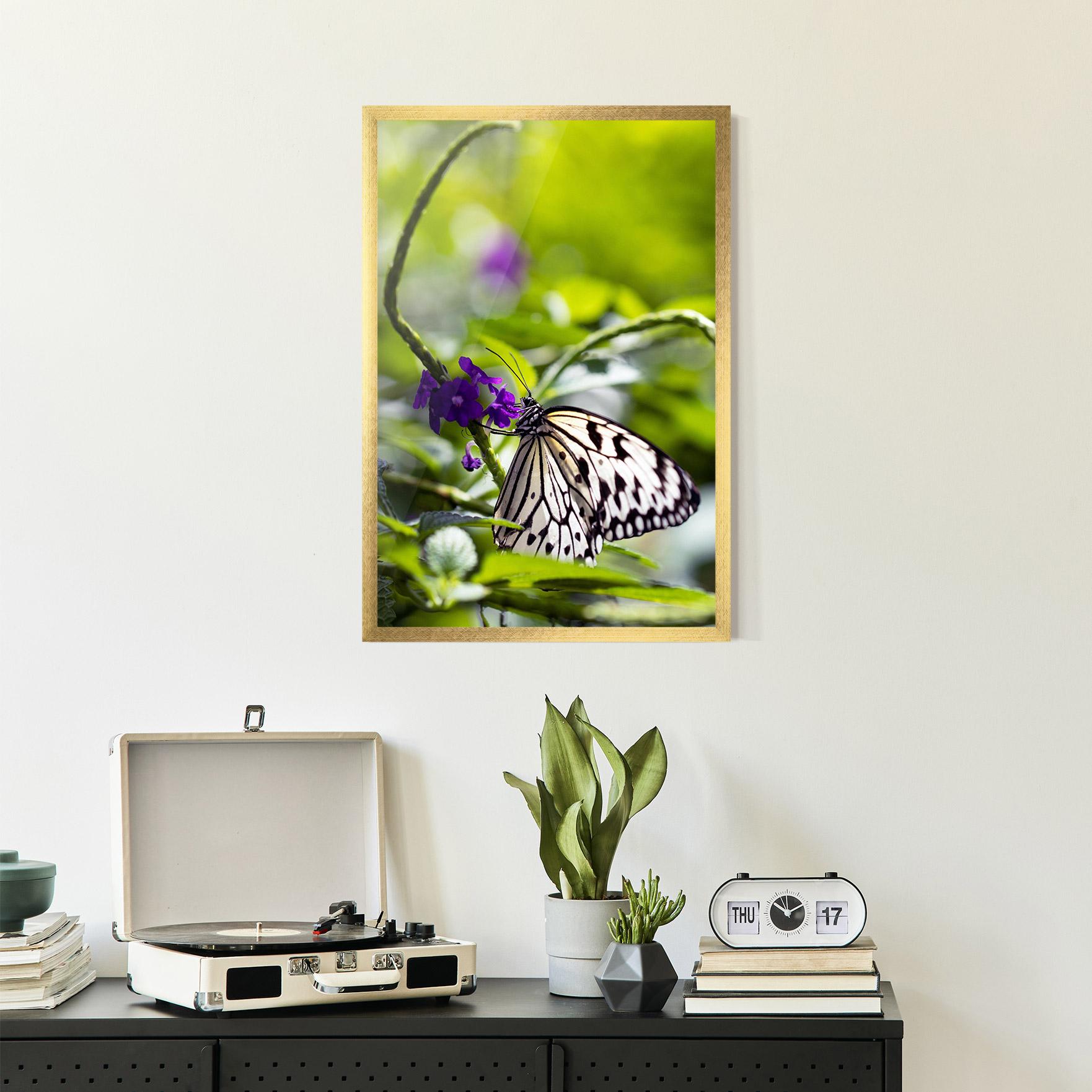 Keretezett Poszter White Black Butterfly mockup 2