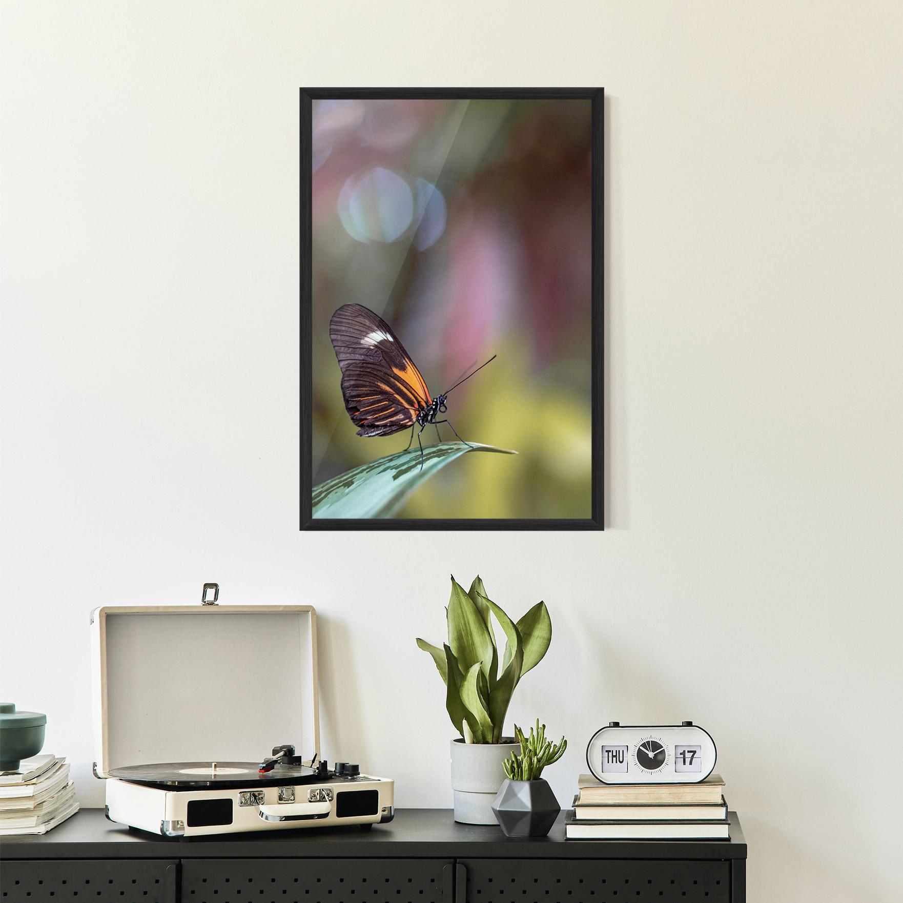 Keretezett Poszter Dark Purple Butterfly mockup 2