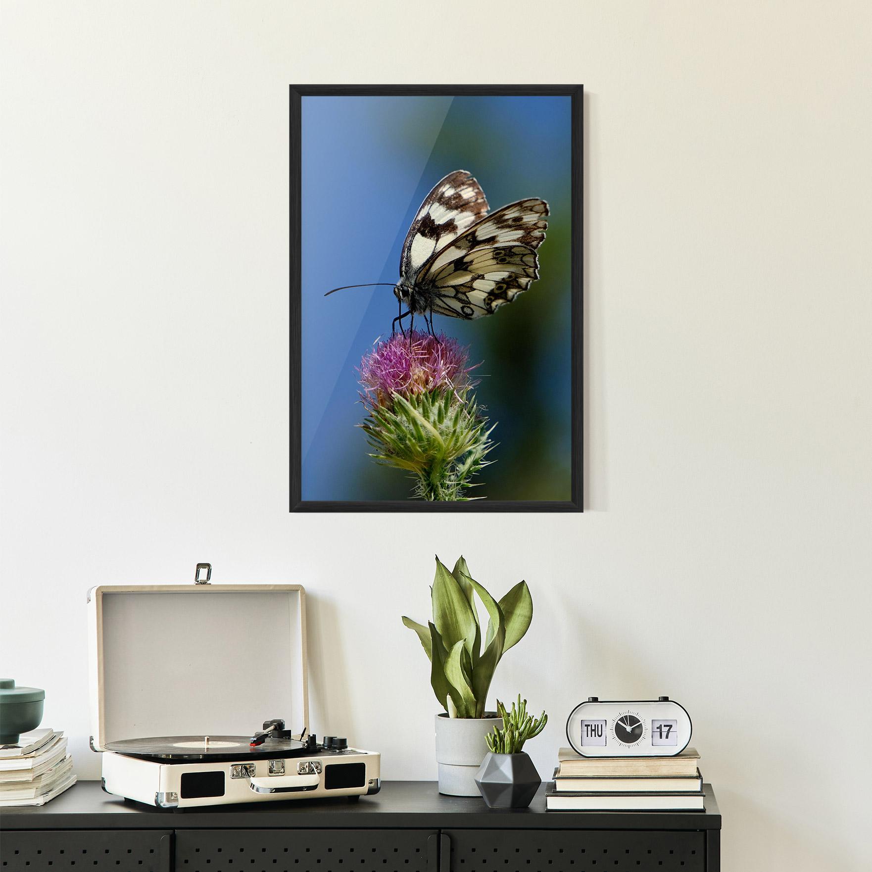 Keretezett Poszter Grey White Butterfly mockup 2
