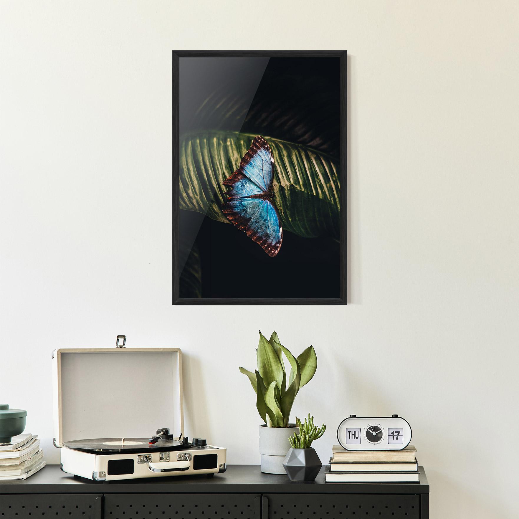 Keretezett Poszter Light Blue Butterfly mockup 2