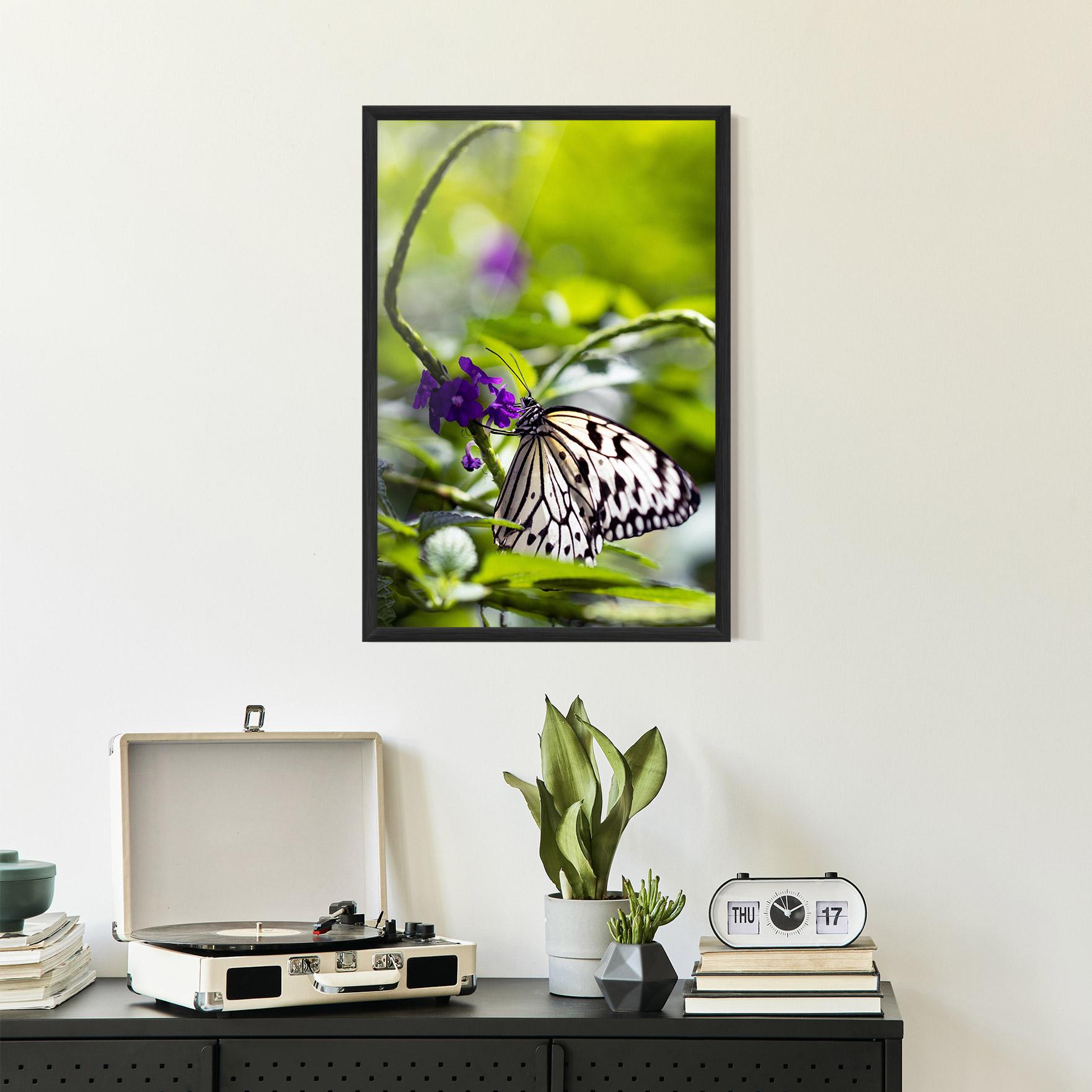 Keretezett Poszter White Black Butterfly mockup 2
