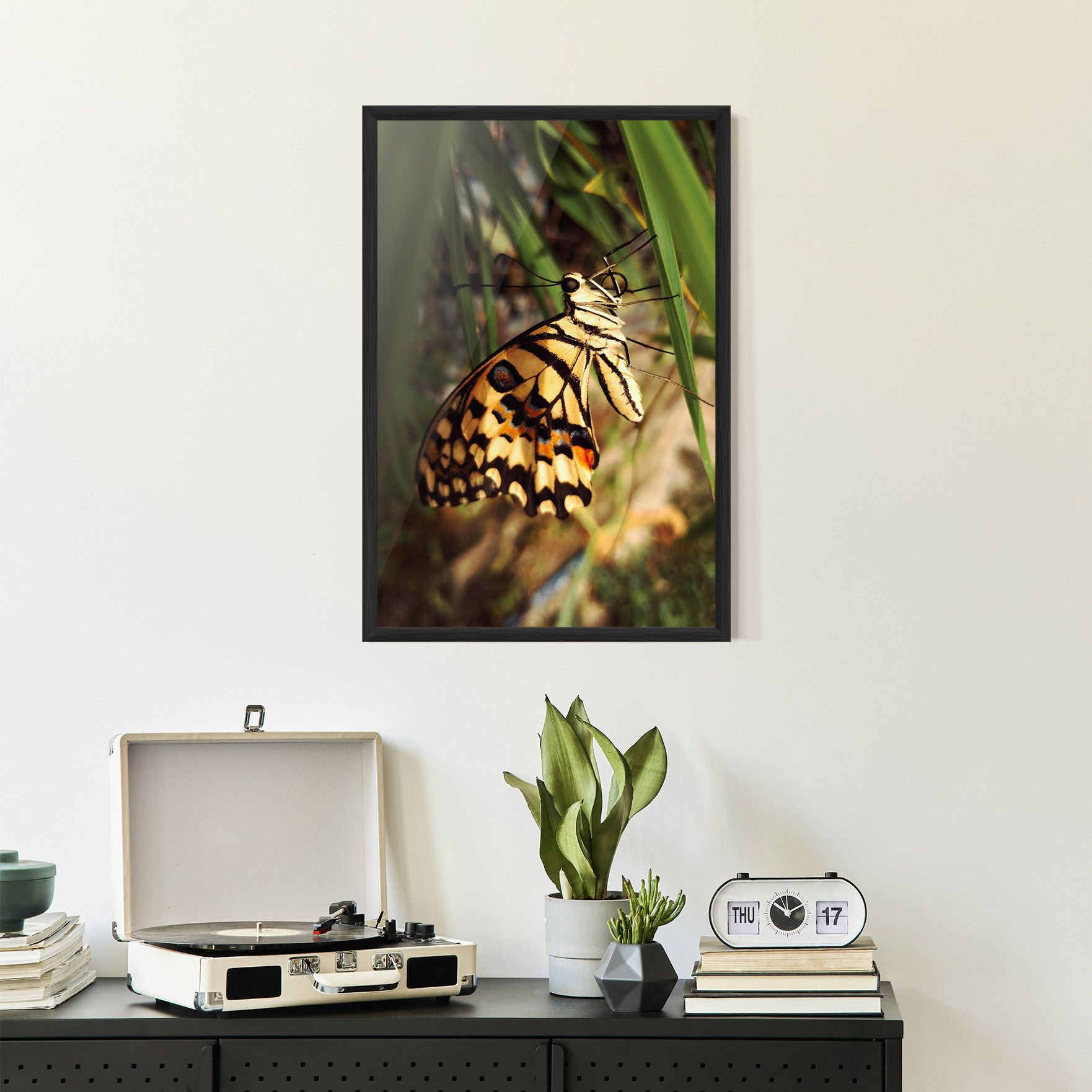 Wild Brown Butterfly mockup 2