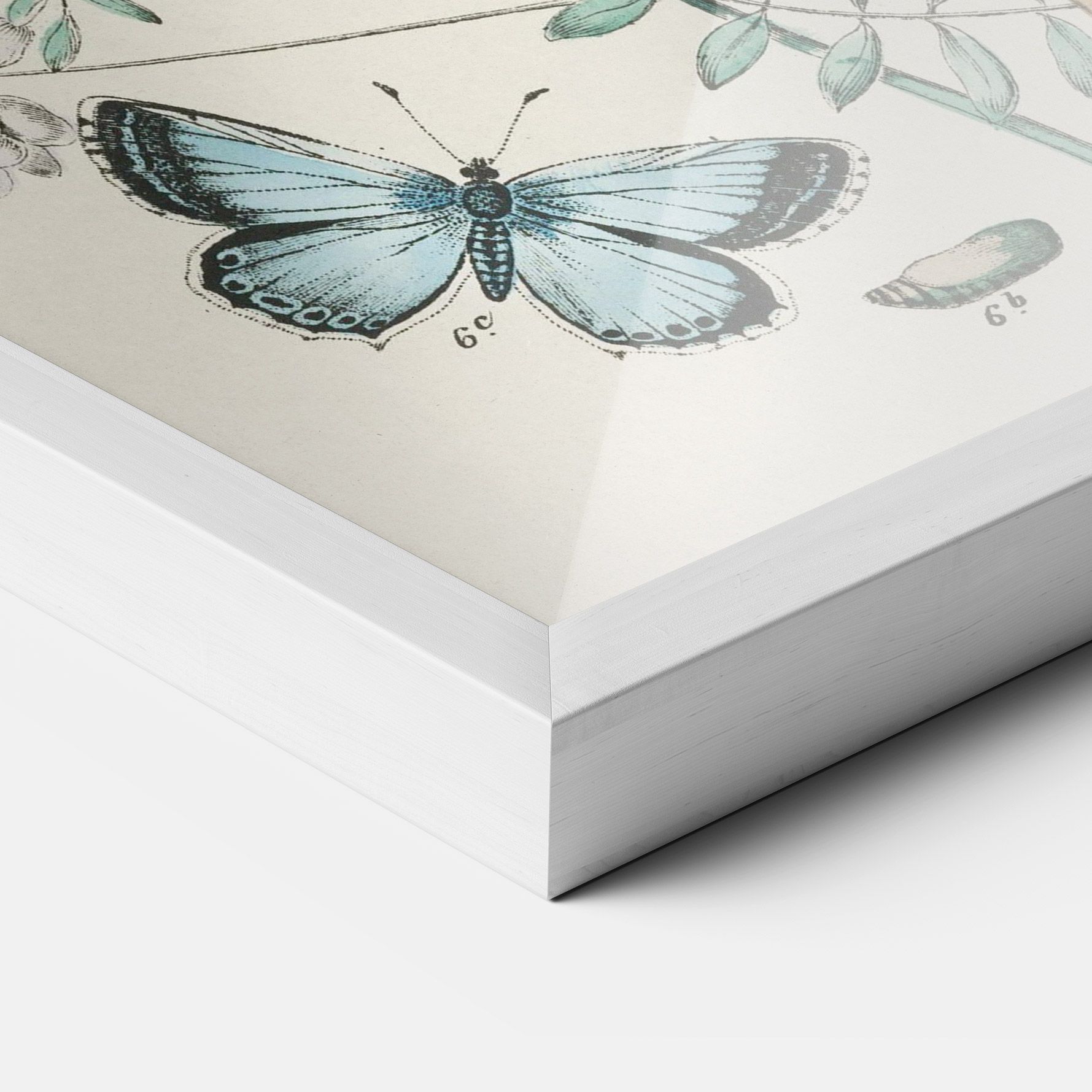 Blue Orange Butterflies mockup 3
