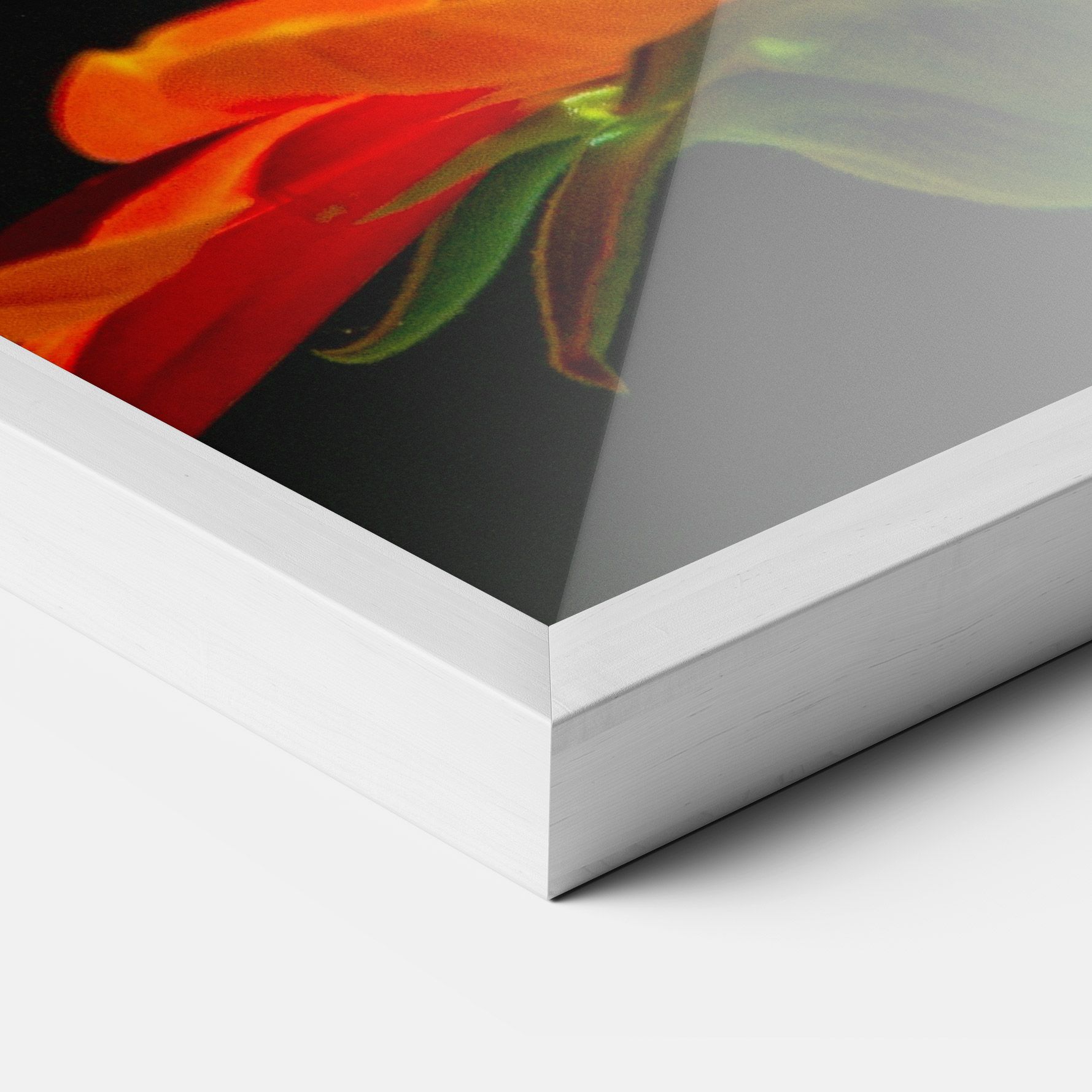 Dark Orange Butterfy mockup 3