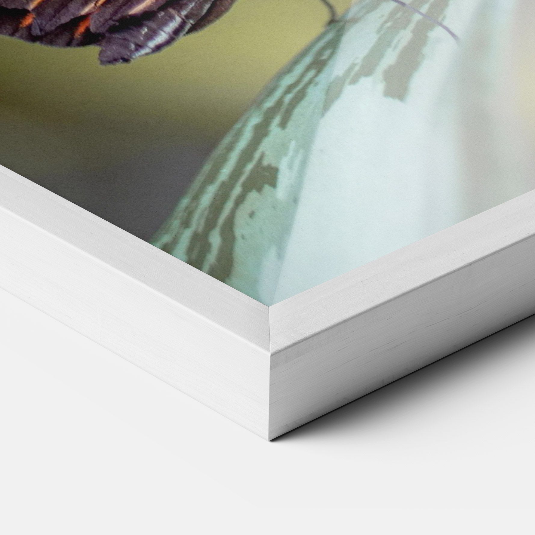 Dark Purple Butterfly mockup 3