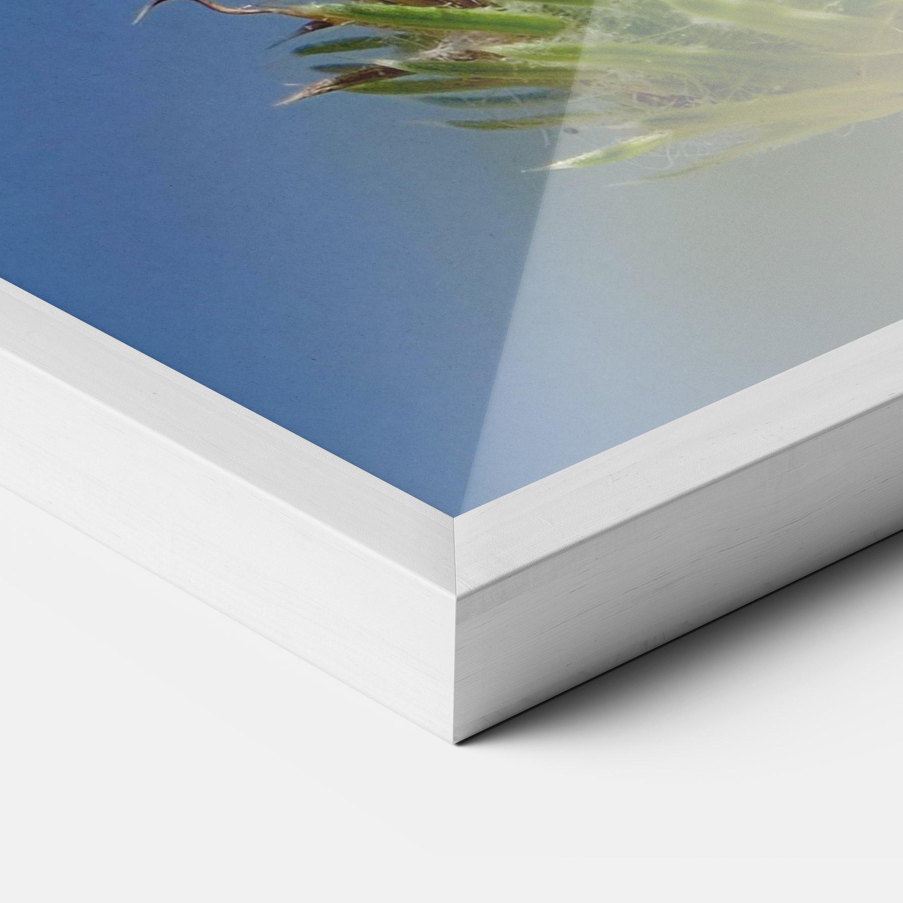 Keretezett Poszter Grey White Butterfly mockup 3