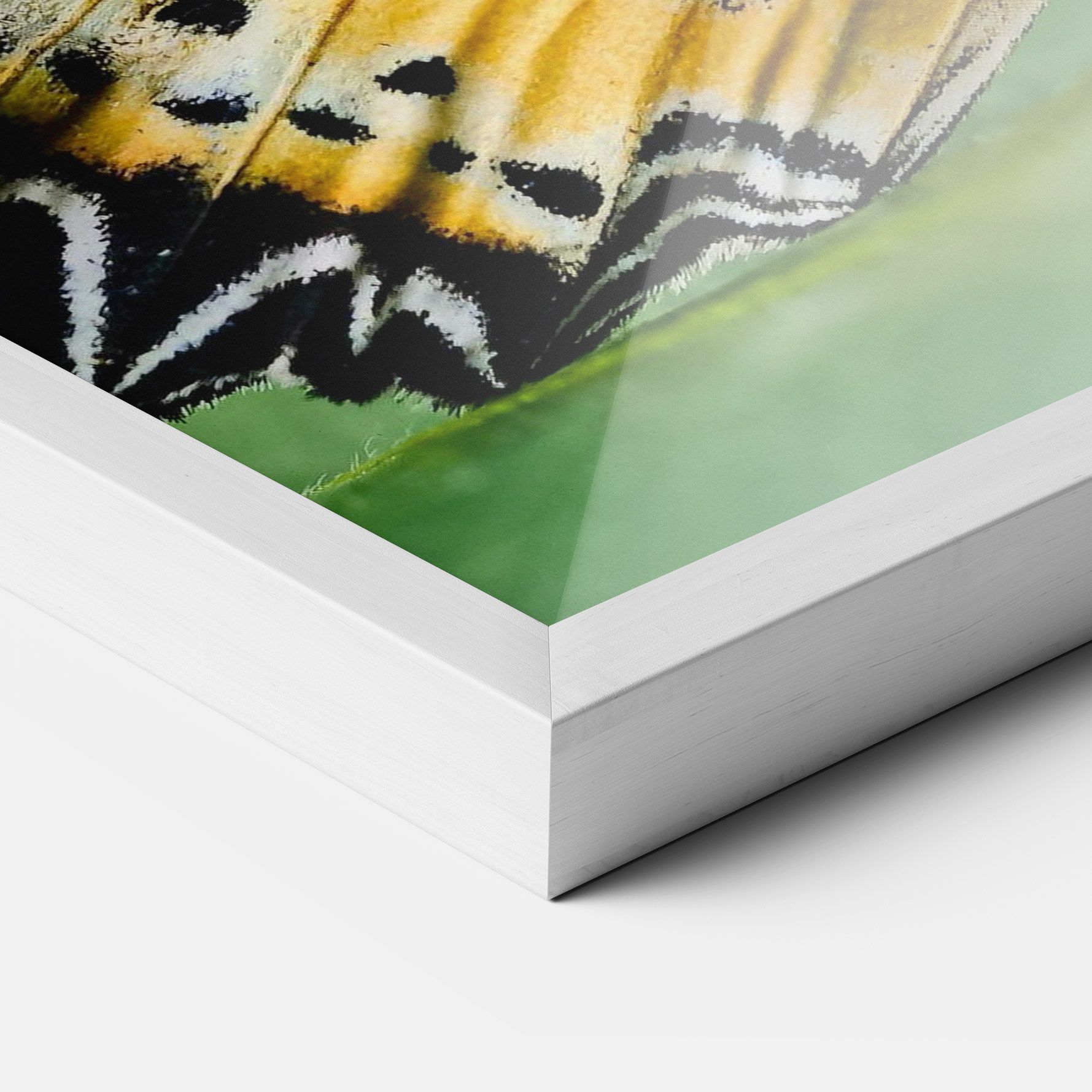 Pretty Colorful Butterfly mockup 3