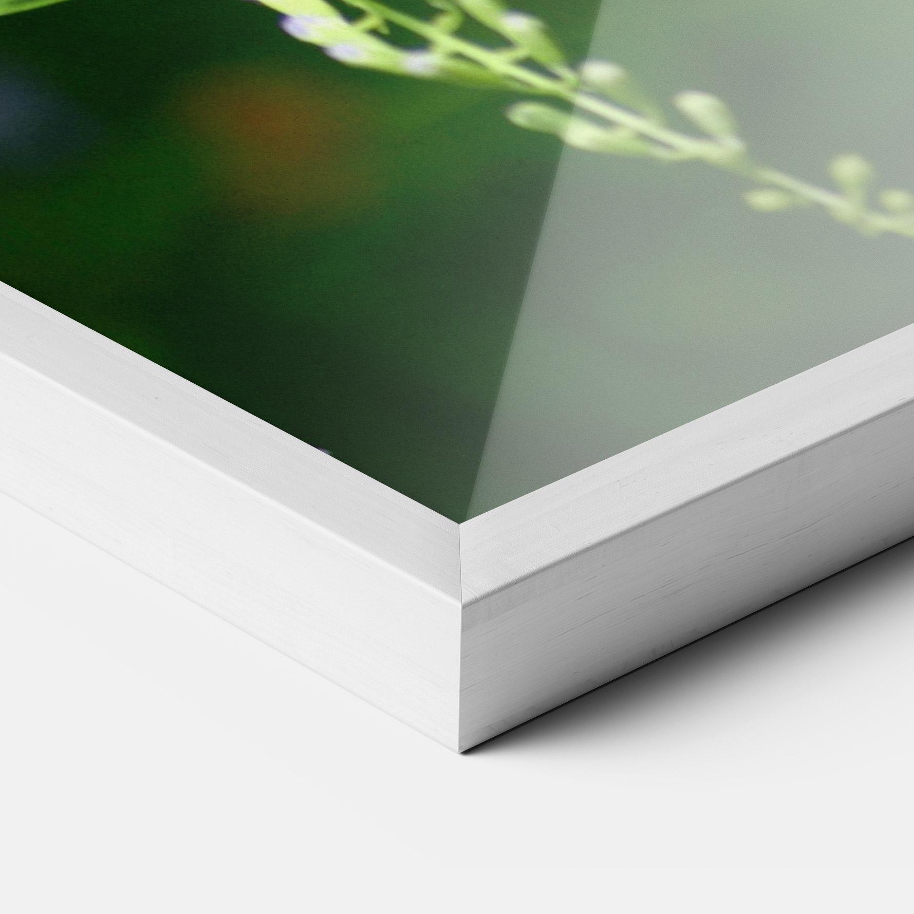 Keretezett Poszter Pretty White Butterfly mockup 3