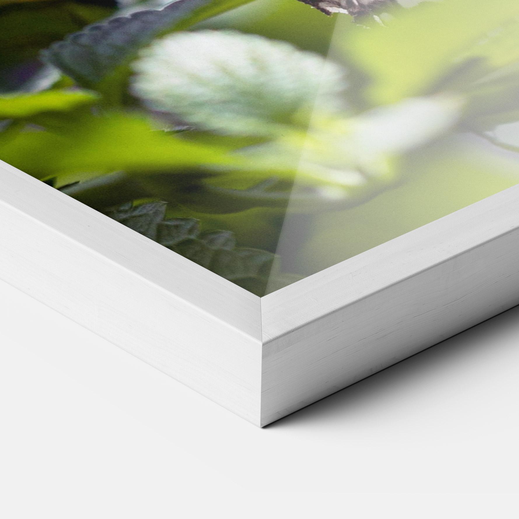 Keretezett Poszter White Black Butterfly mockup 3