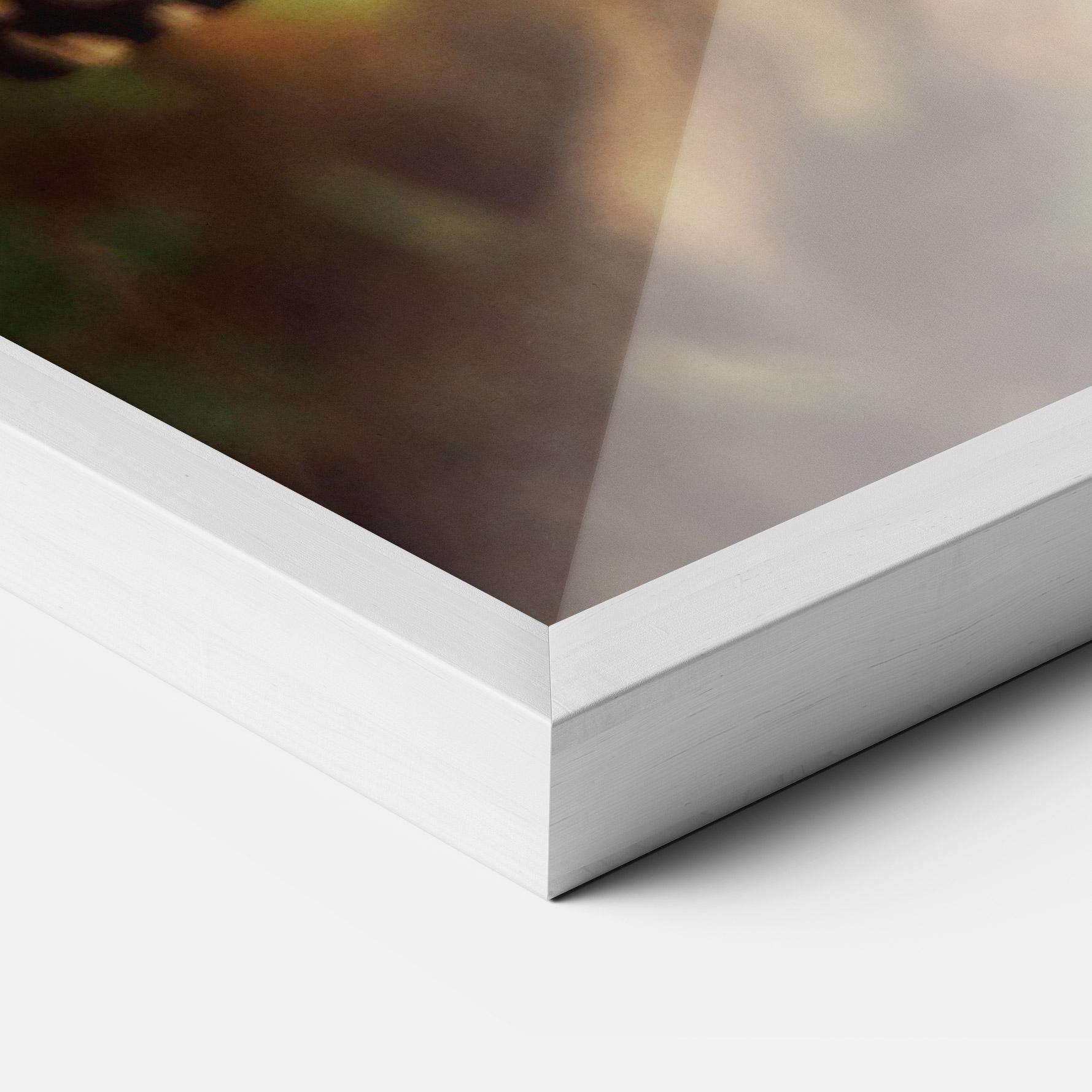 Keretezett Poszter Wild Brown Butterfly mockup 3