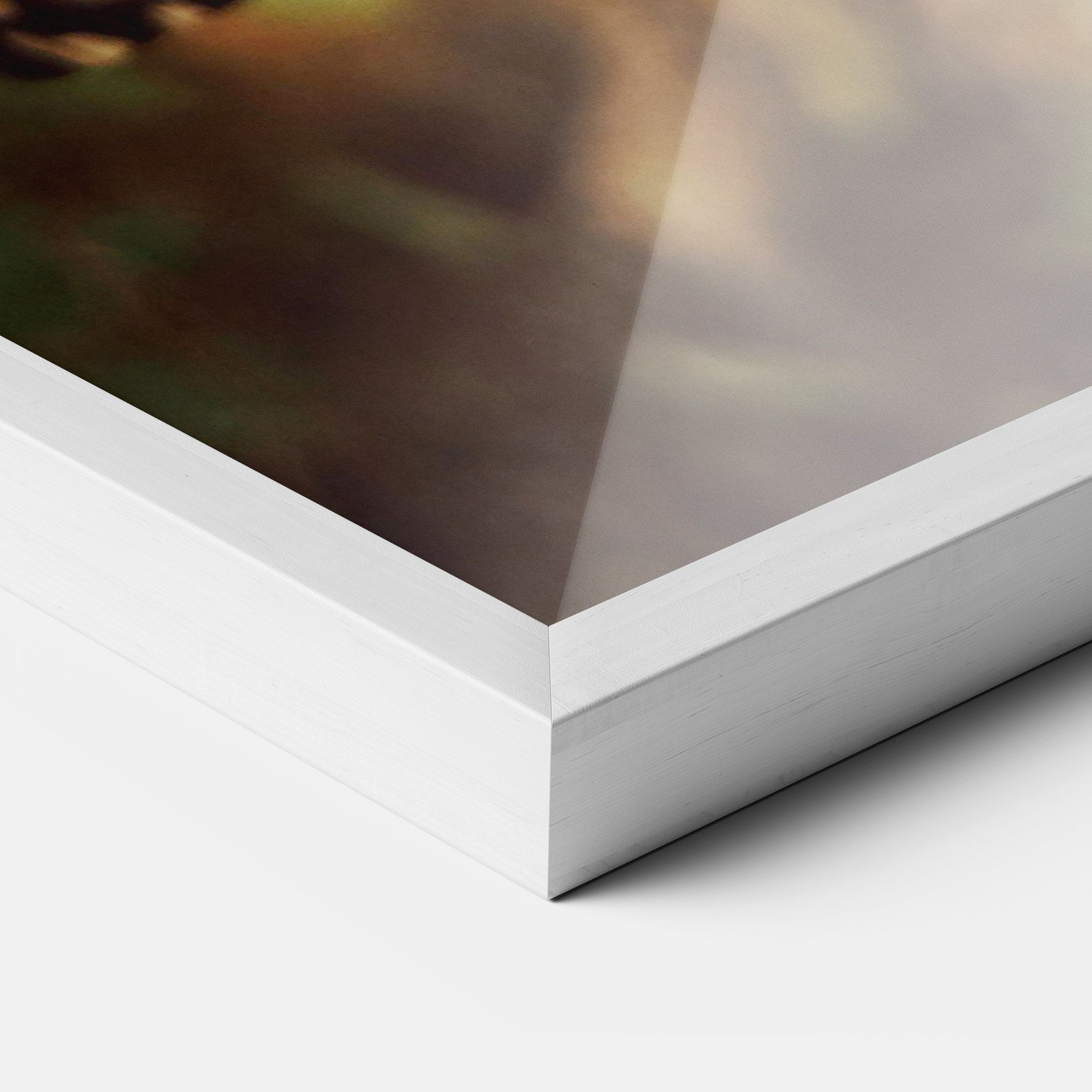 Wild Brown Butterfly mockup 3