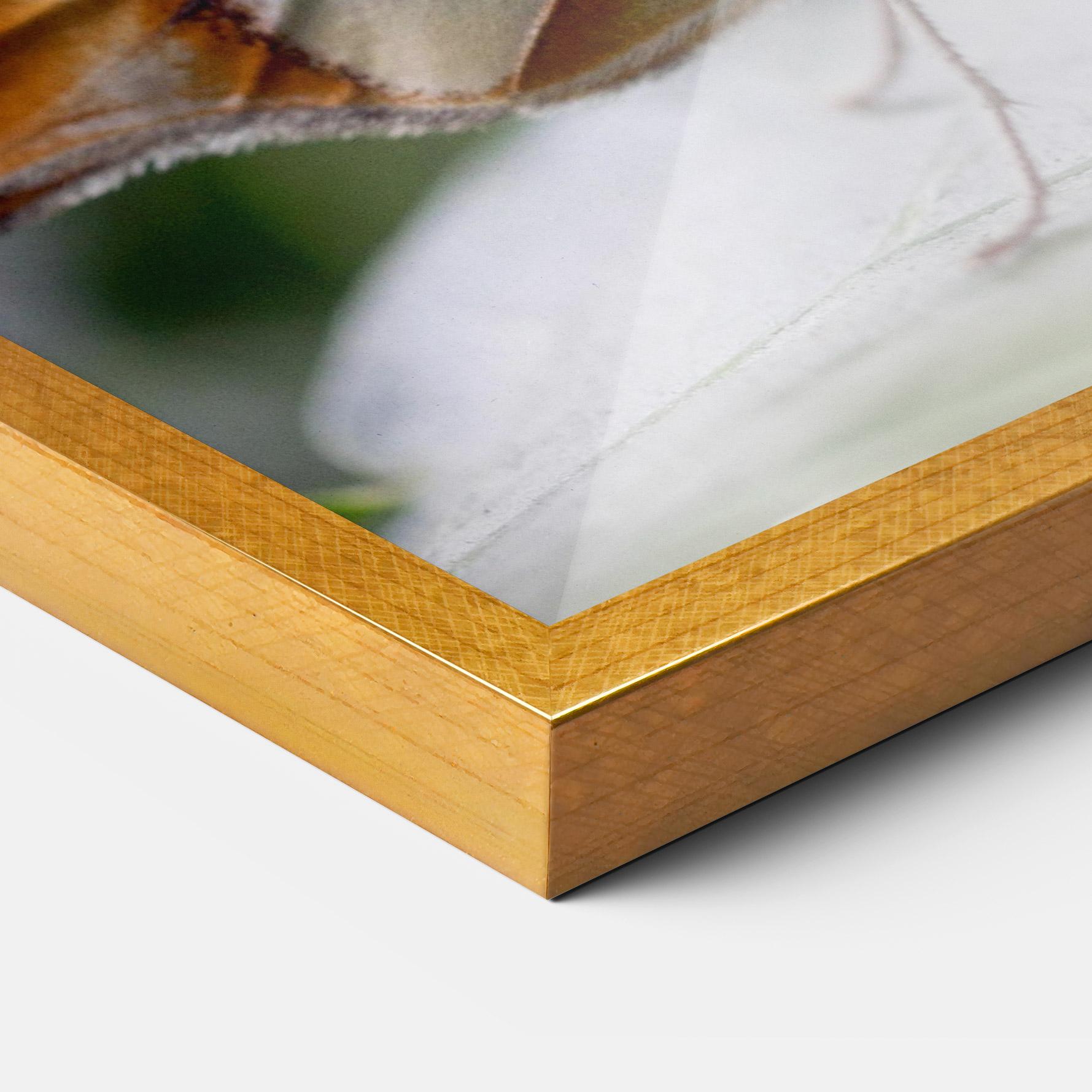 Keretezett Poszter Brown Yellow Butterfly mockup 3