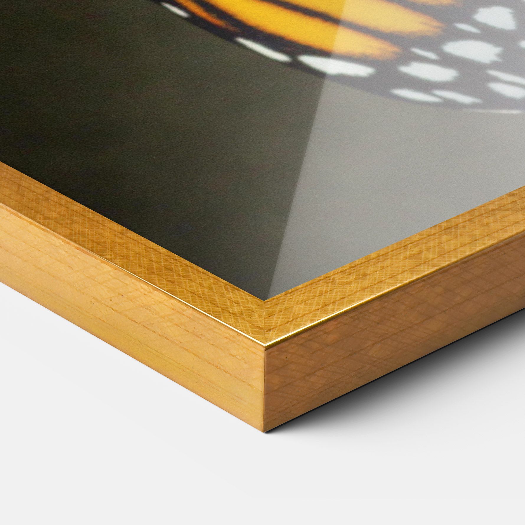 Dark Yellow Butterfly mockup 3